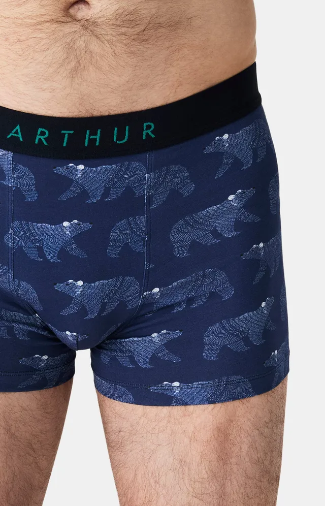 arthur-bob-nuit-polaire-boxer-marine-coton-bio image 1