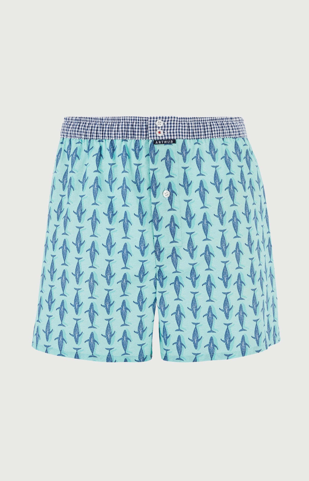 arthur-le-club-n-1209-cale-on-homme-jade-baleines image 3