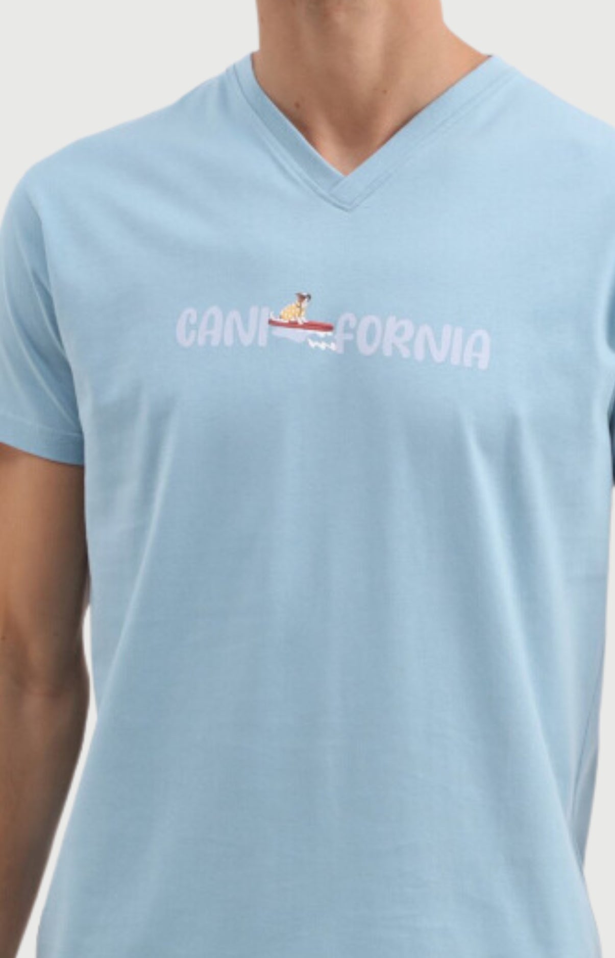 arthur-bob-canifornia-pyjashort-coton-bleu-ciel-col-v image 2