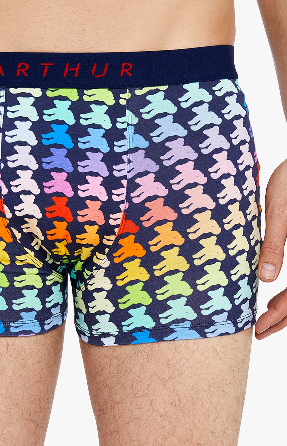 arthur-bob-teddy-boxer-homme-multicolore-coton-bio image 2