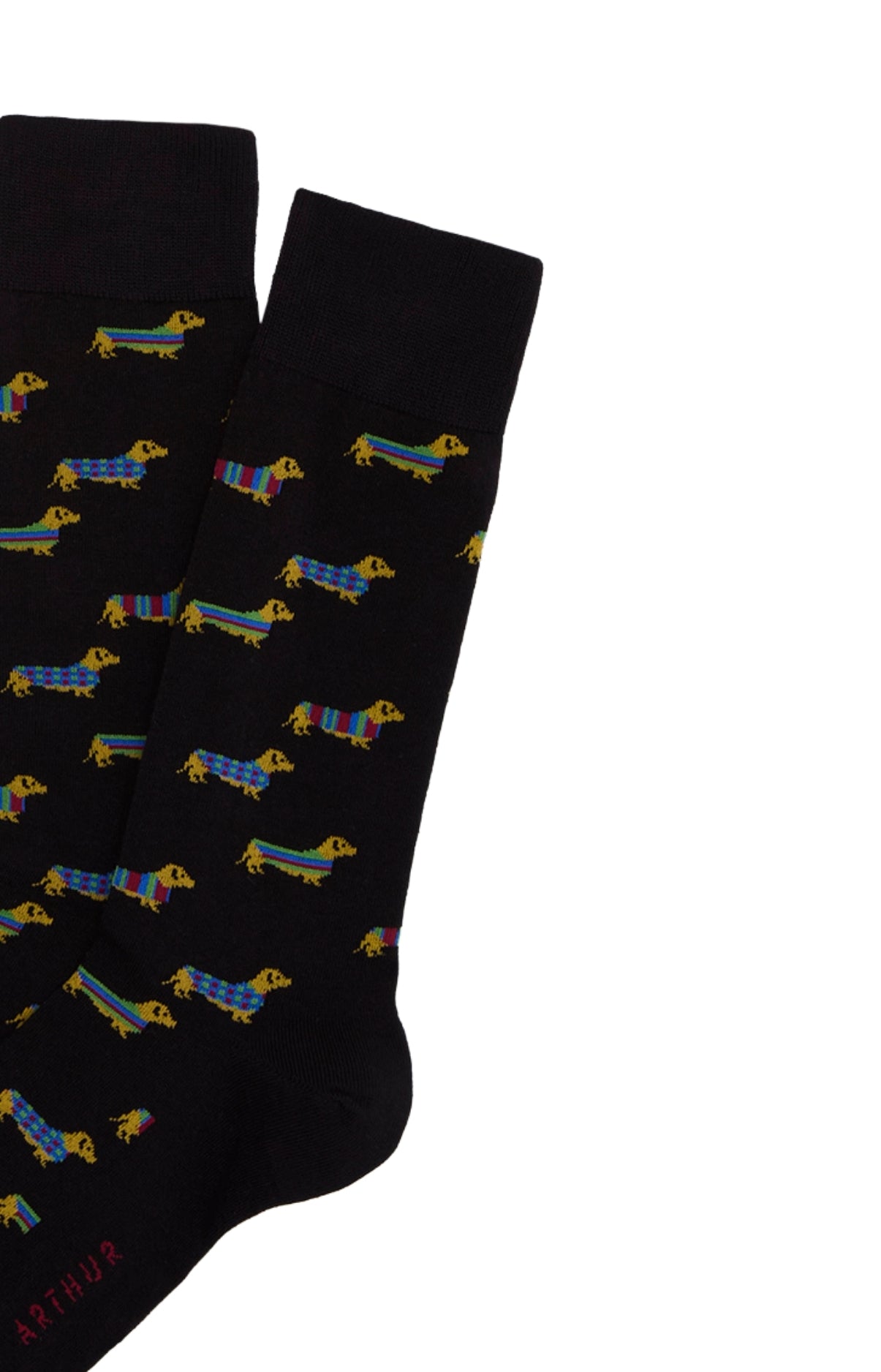 arthur-bob-teckel-noir-chaussettes-noir-coton image 2