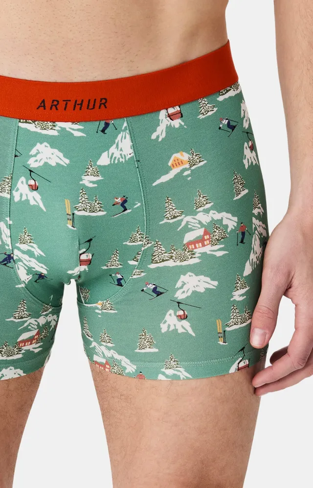 arthur-bob-boxer-coton-bio-no-l-en-altitude-vert image 1