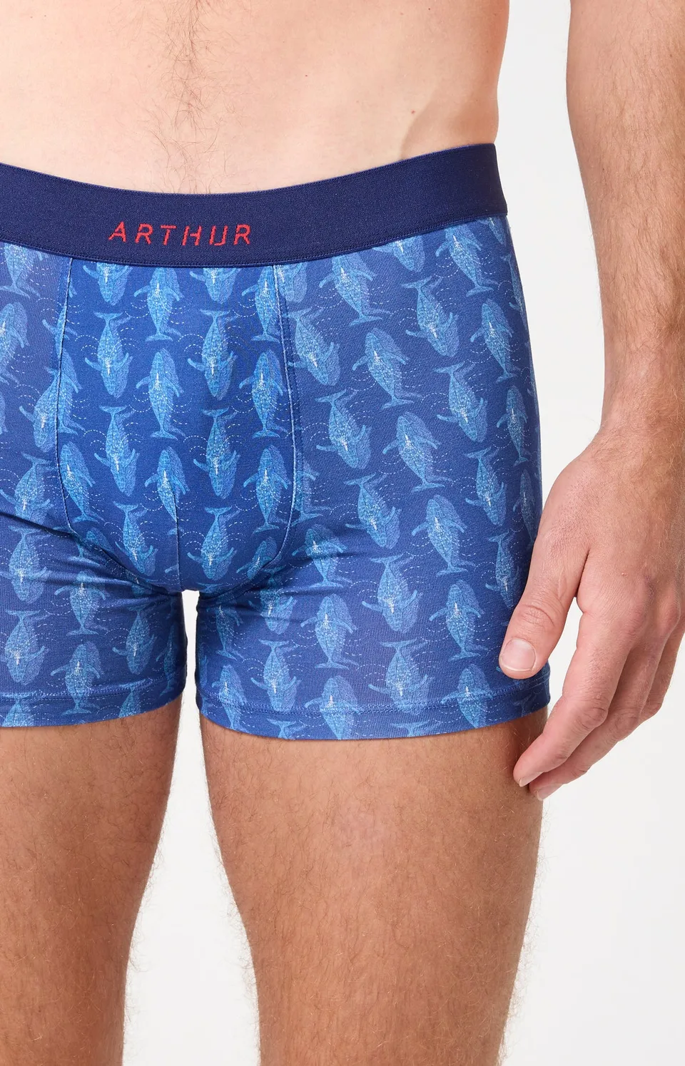 arthur-bob-pacifique-boxer-homme-coton-bio-marine image 1