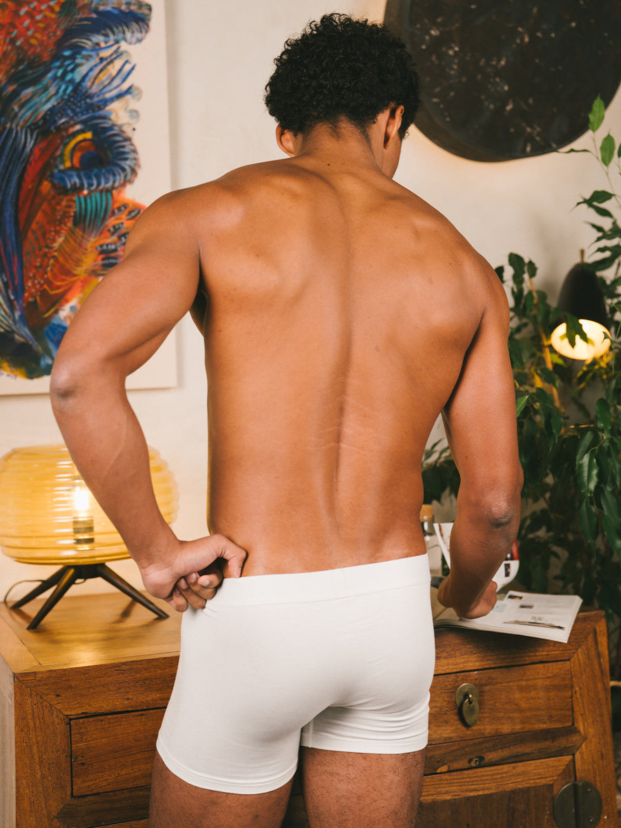 p-trone-boxer-confort-boxer-homme-coton-bio-tencel image 5