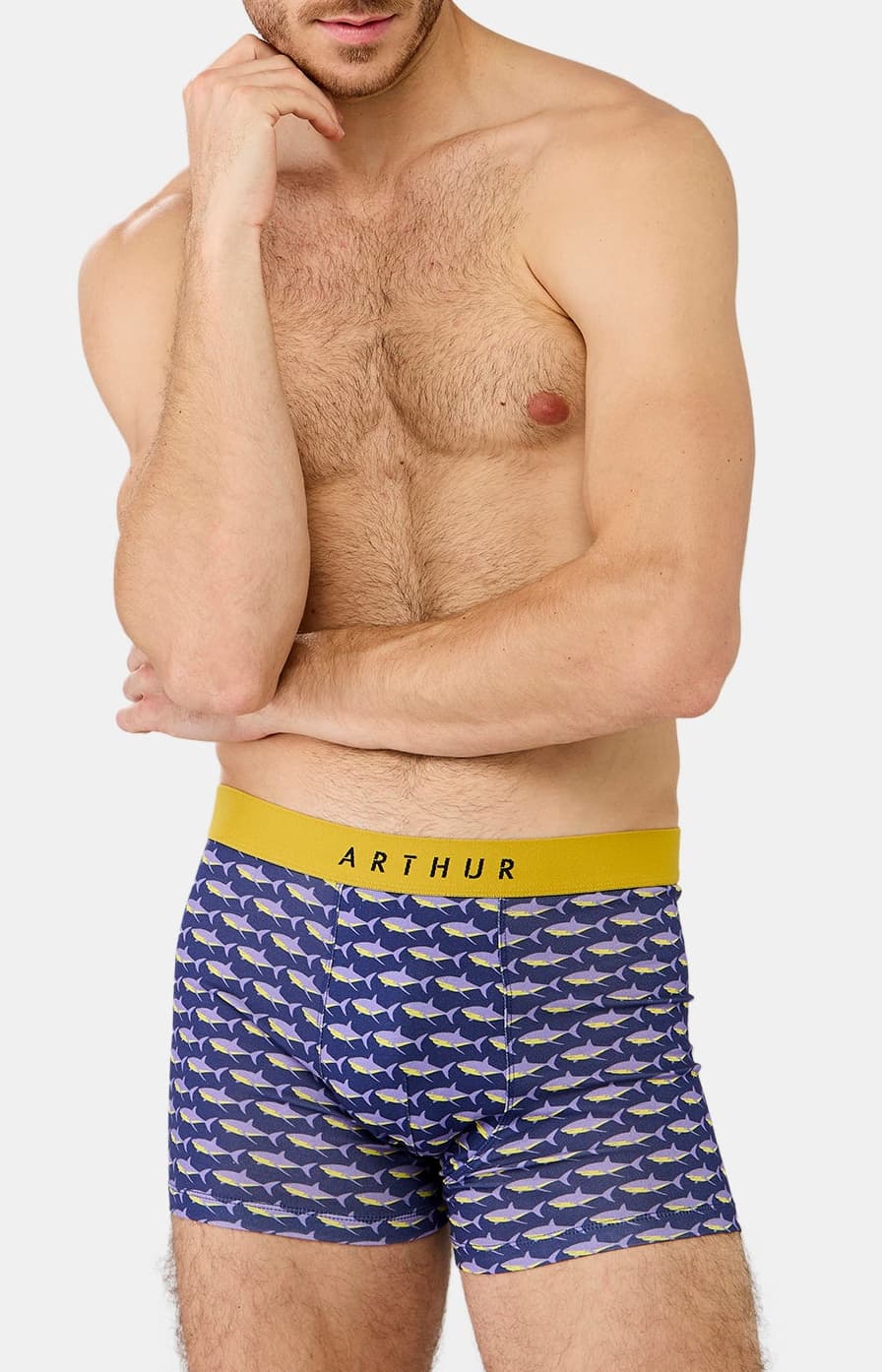 arthur-bob-requin-des-mers-boxer-homme-marine-microfibre image 2