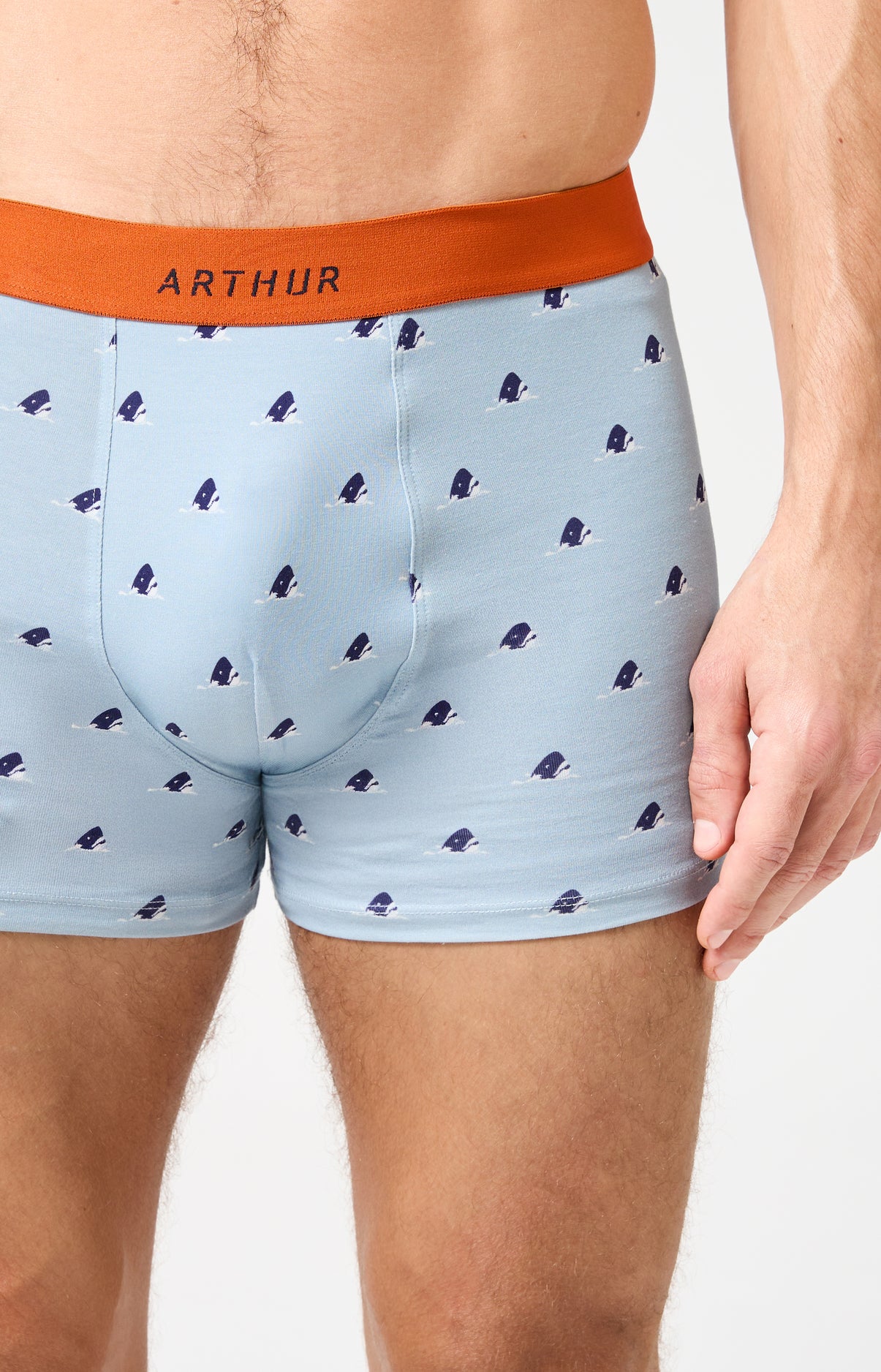 arthur-bob-boxer-dents-de-l-amour-ciel-coton-bio image 1