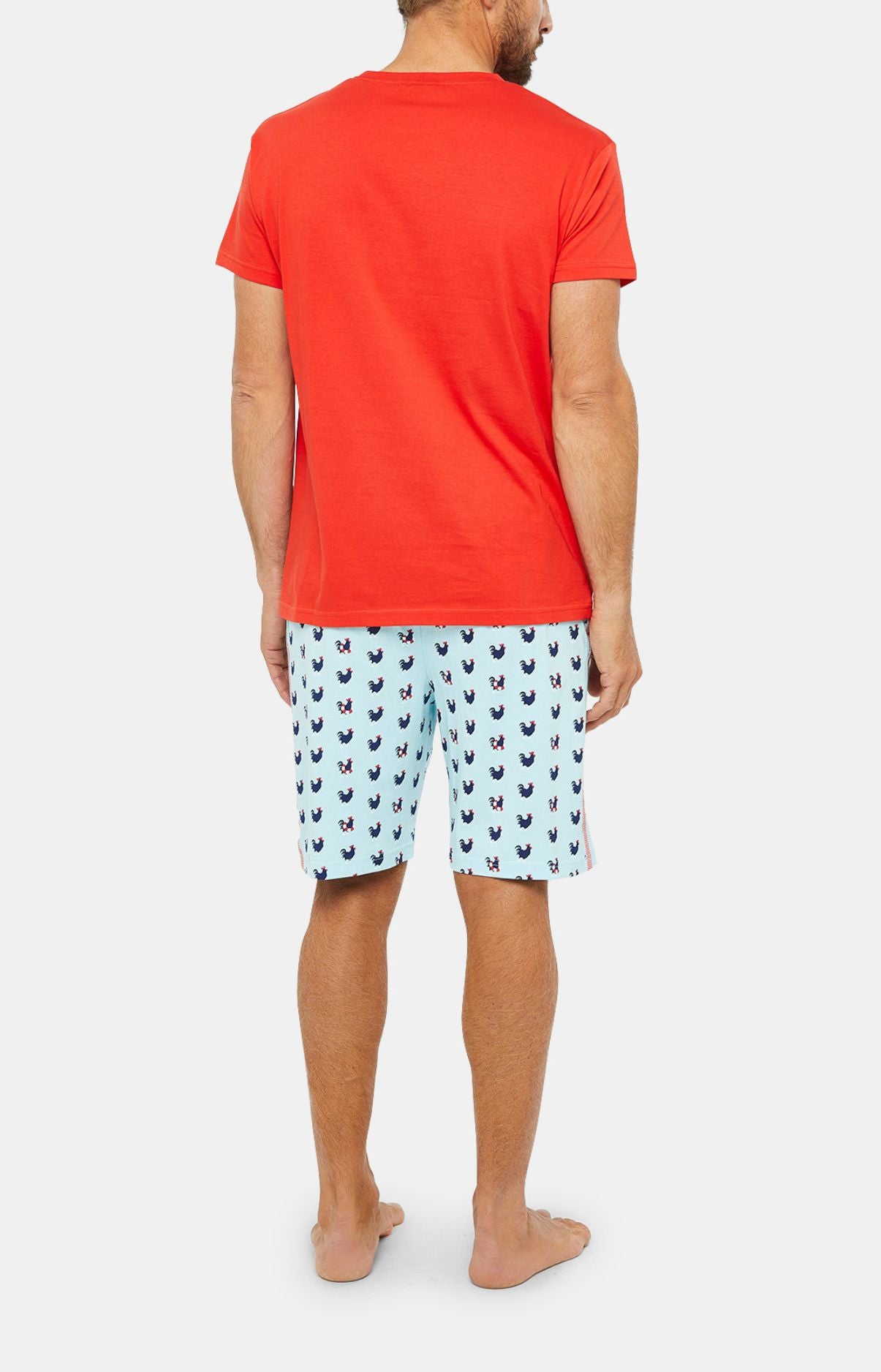 arthur-bob-coq-pyjashort-homme-coton-bio-ciel image 6
