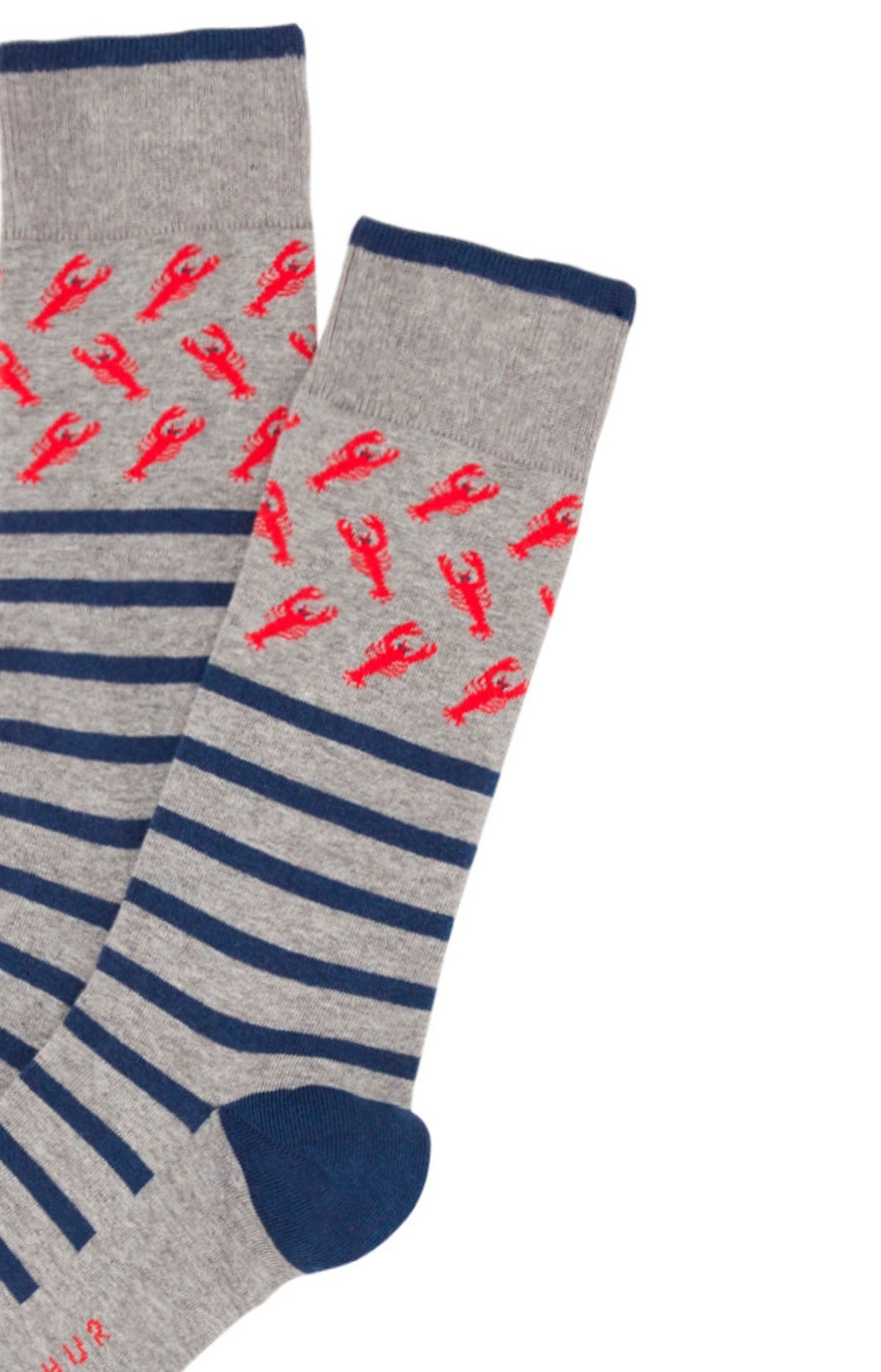 arthur-bob-chaussettes-homard-gris-coton-bio-40-46 image 2