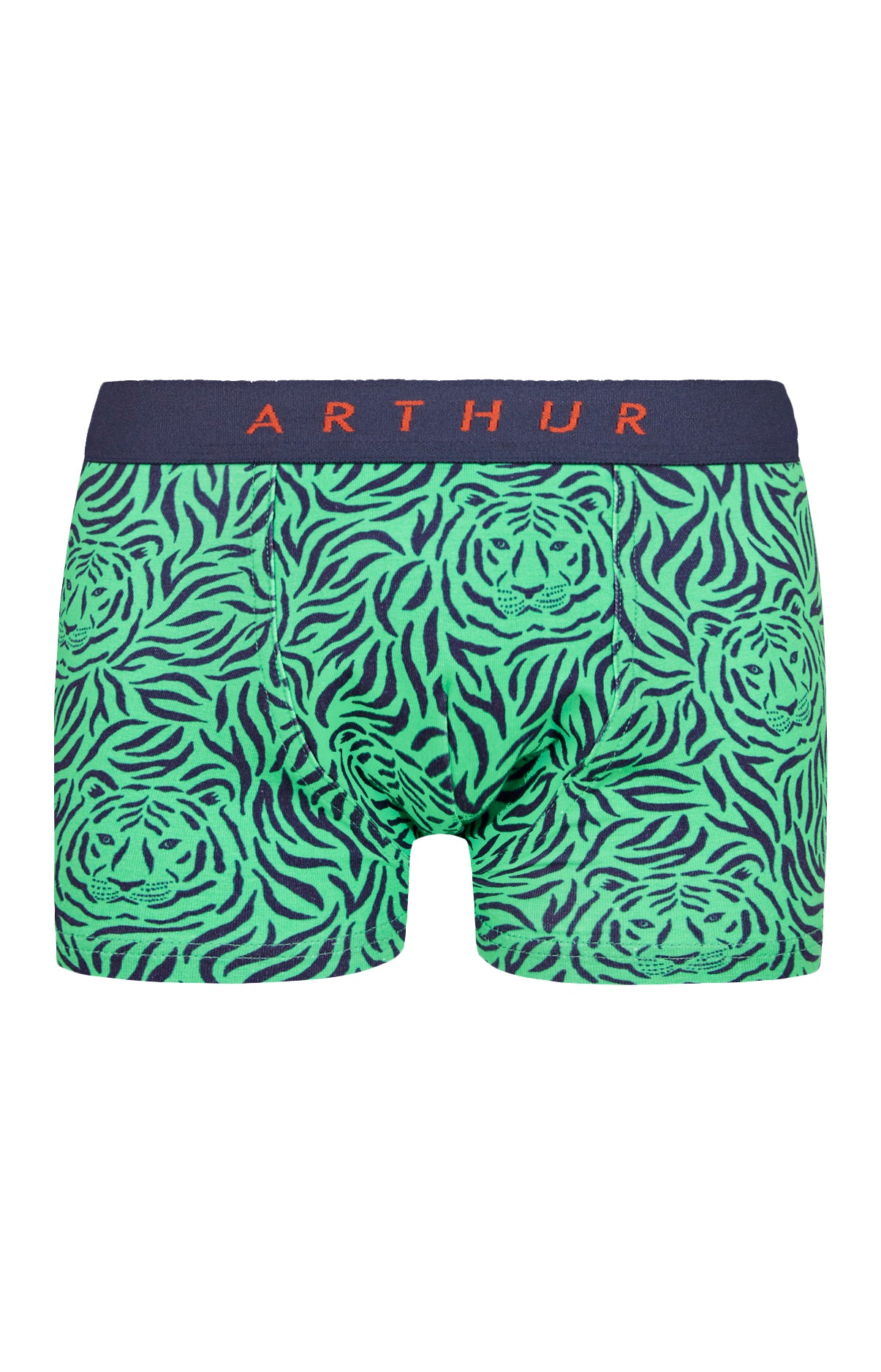 arthur-bob-tigre-boxer-enfant-vert-gar-on image 3