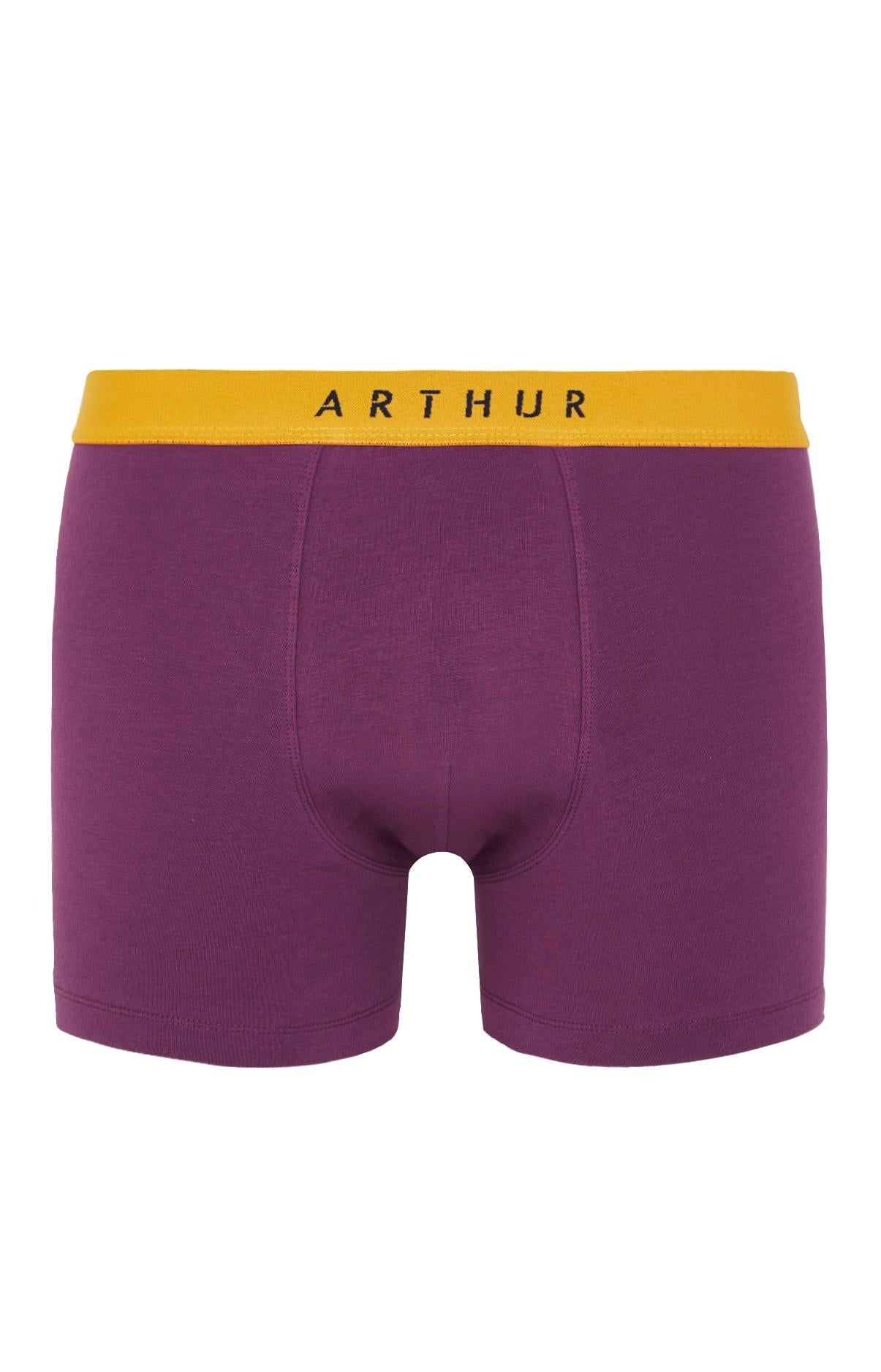 arthur-bob-boxer-coton-aubergine-taille-l-homme image 3