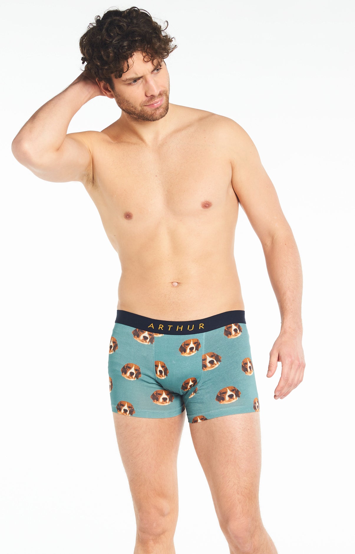 arthur-bob-beagle-boxer-homme-celadon-coton-bio image 4