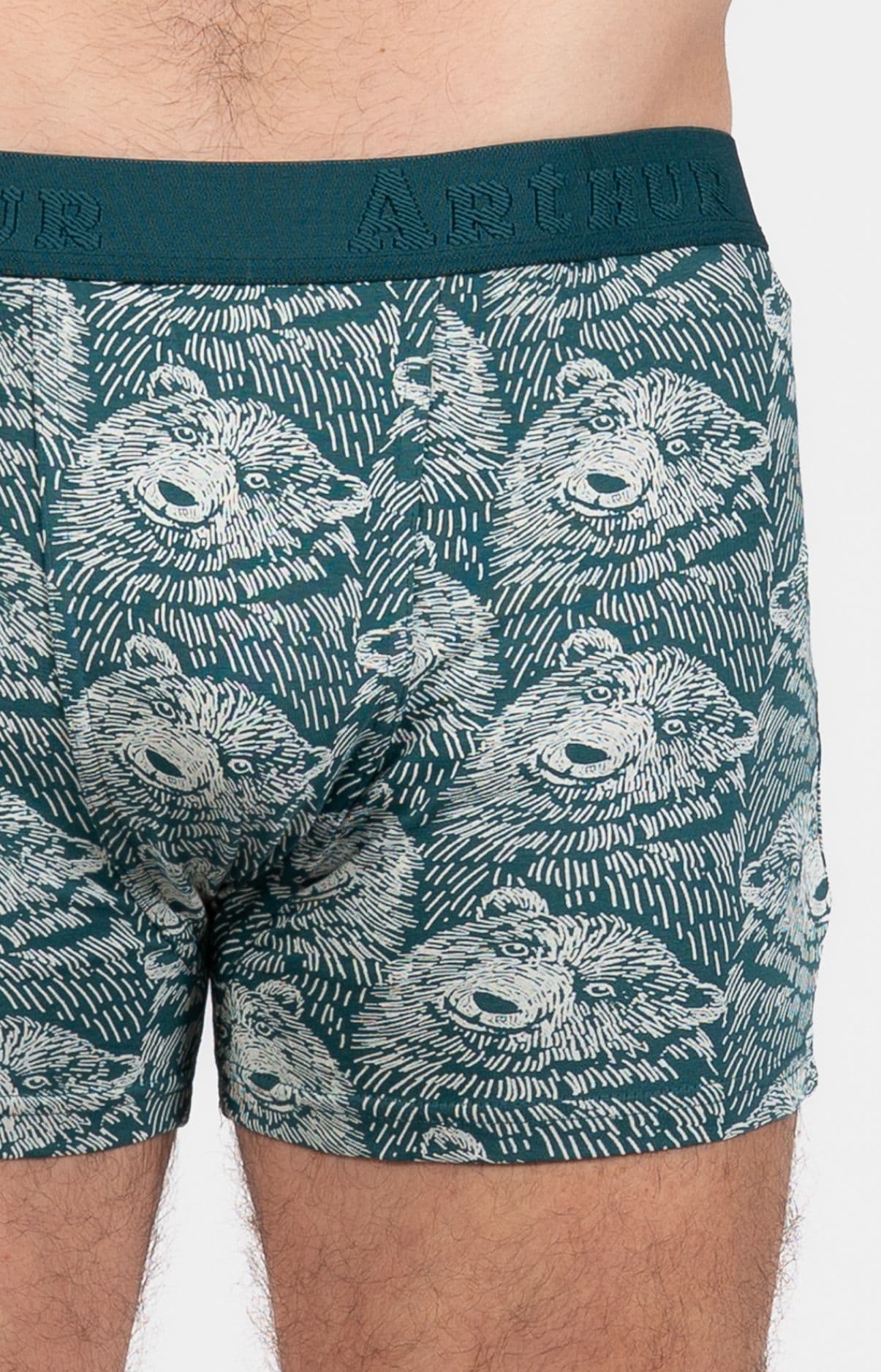 arthur-bob-ours-des-montagnes-boxer-homme-gris image 2