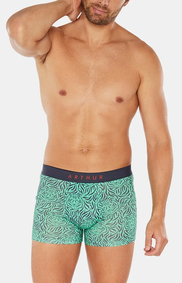 arthur-bob-boxer-tigre-homme-coton-bio-vert image 1
