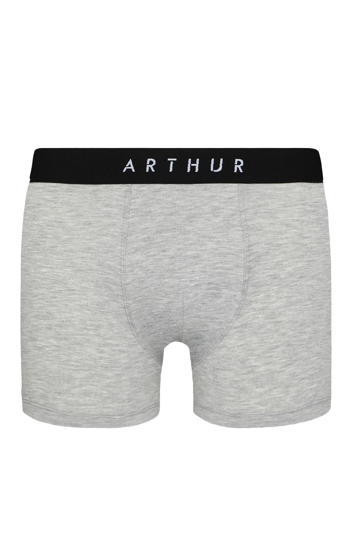 arthur-bob-tradi-boxer-coton-bio-homme-gris image 3