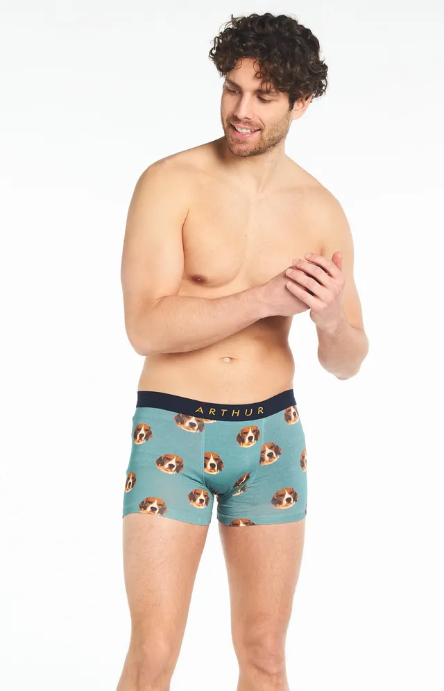 arthur-bob-beagle-boxer-homme-celadon-coton-bio image 1