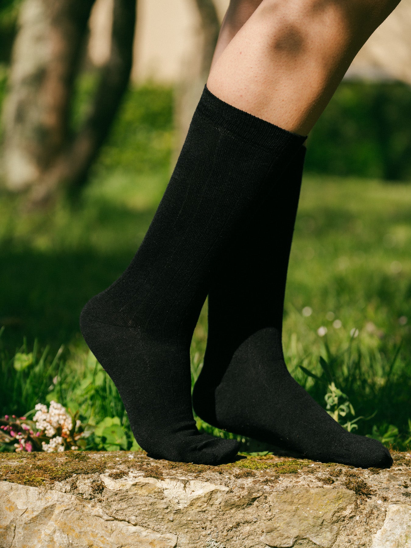p-trone-chaussettes-lin-coton-homme-beige-chin-43-46 image 8