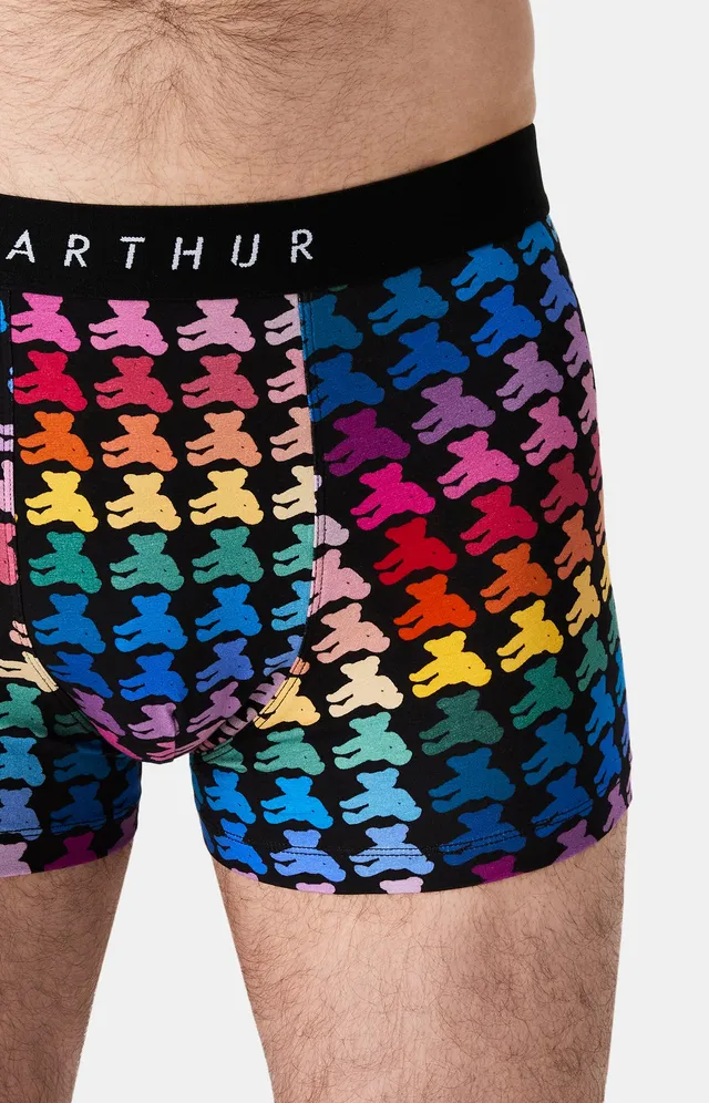 arthur-bob-teddy-bear-boxer-multicolore-coton-bio image 1