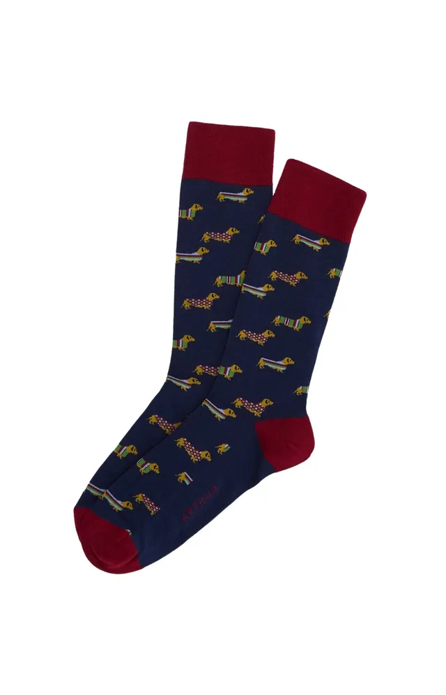 arthur-bob-chaussettes-coton-teckel-marine-homme-40-46 image 1