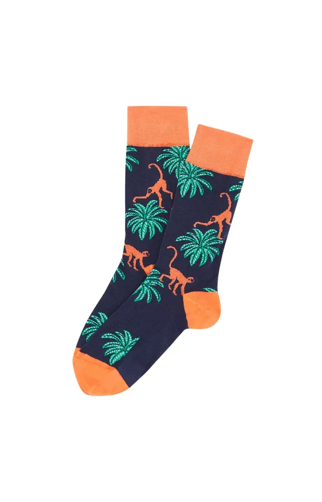 arthur-bob-singe-marine-chaussettes-homme-40-46-coton-bio image 1