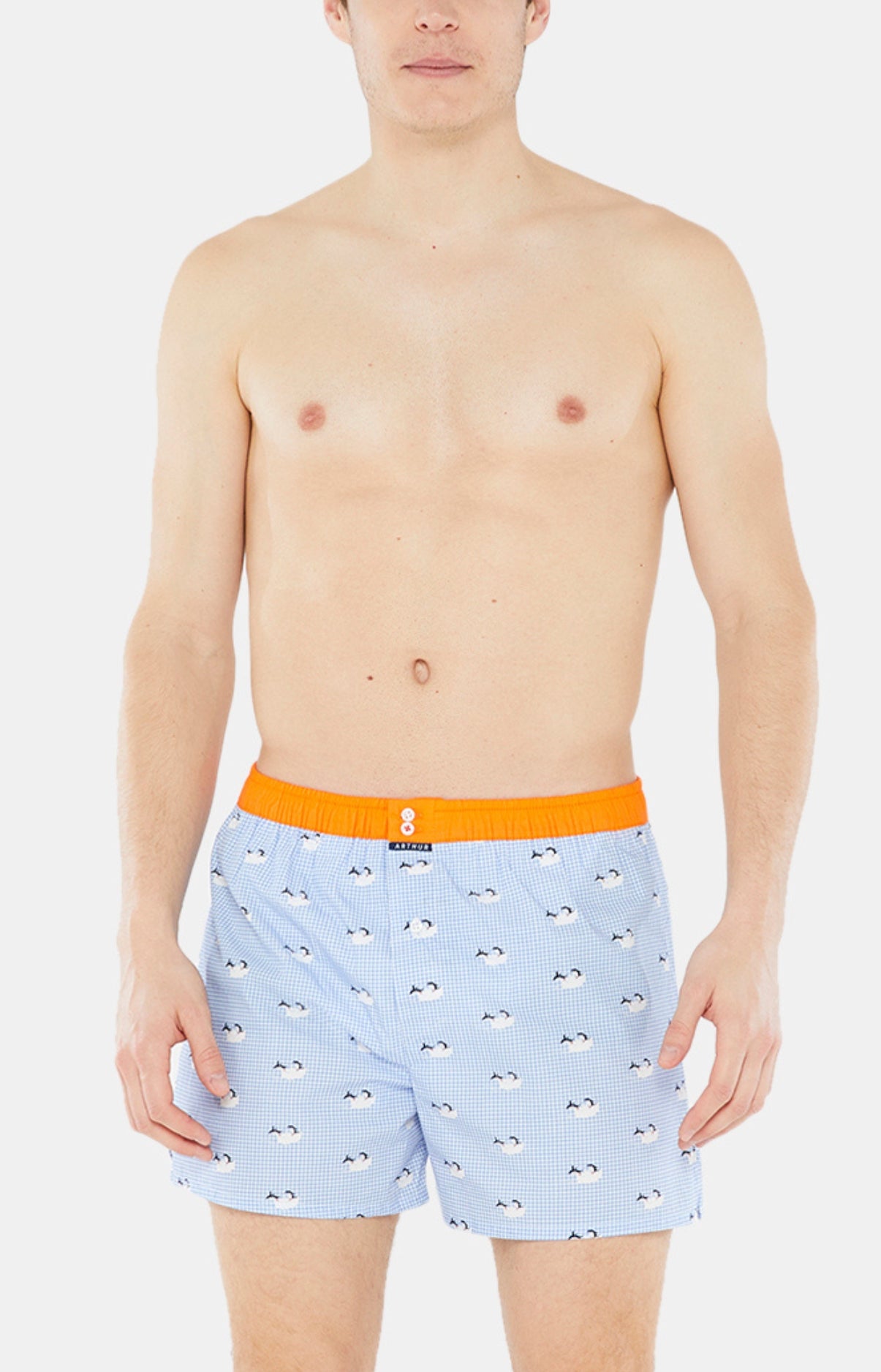 arthur-le-club-n-999-cale-on-ciel-carreaux-coton-bio image 1