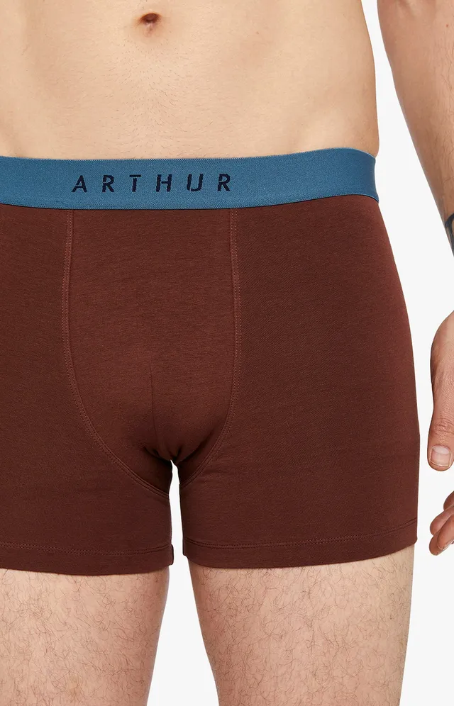 arthur-bob-boxer-coton-chocolat-uni-s-xxl image 1