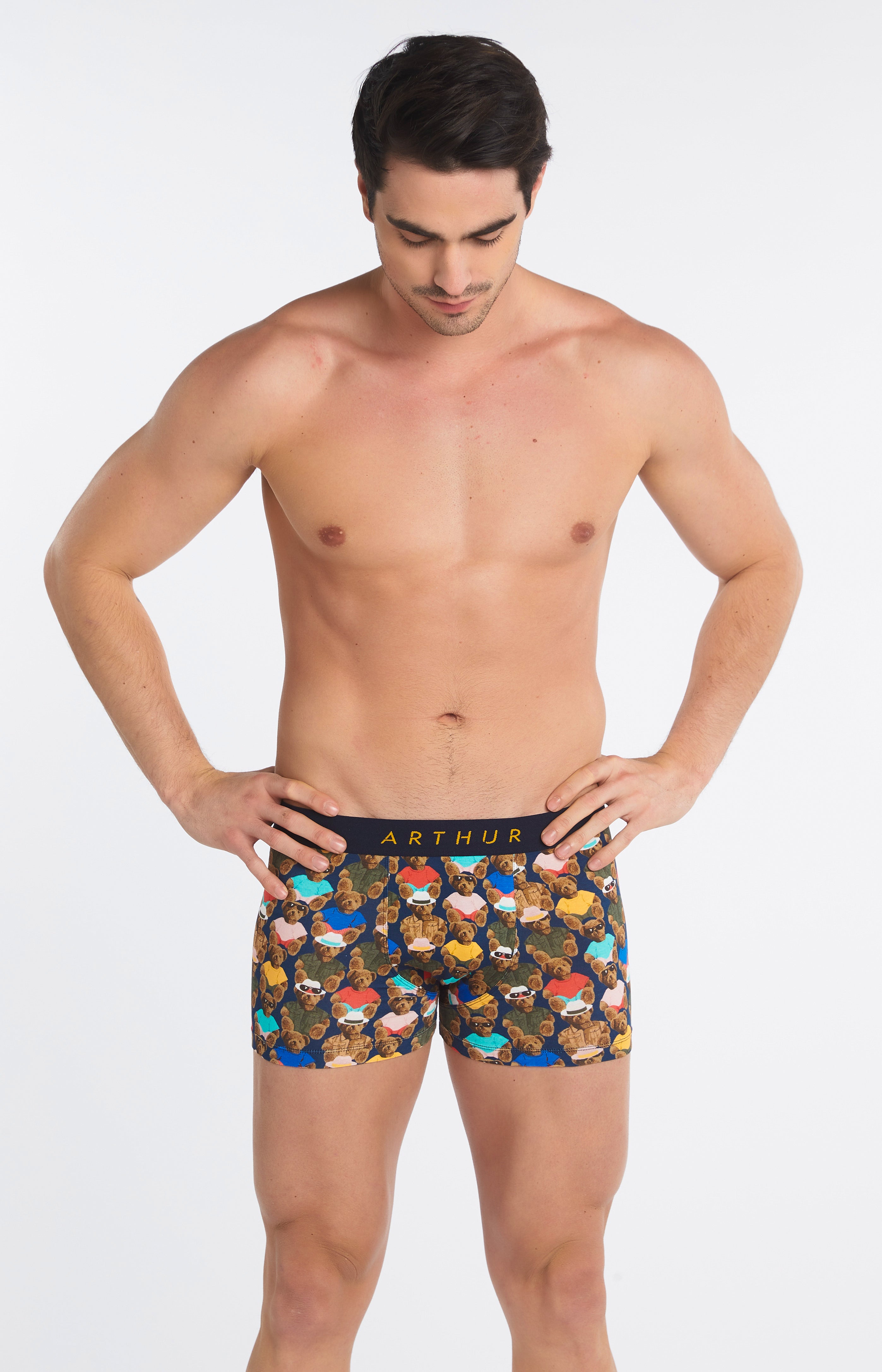arthur-bob-teddy-boxer-homme-multicolore-coton-bio-2 image 7