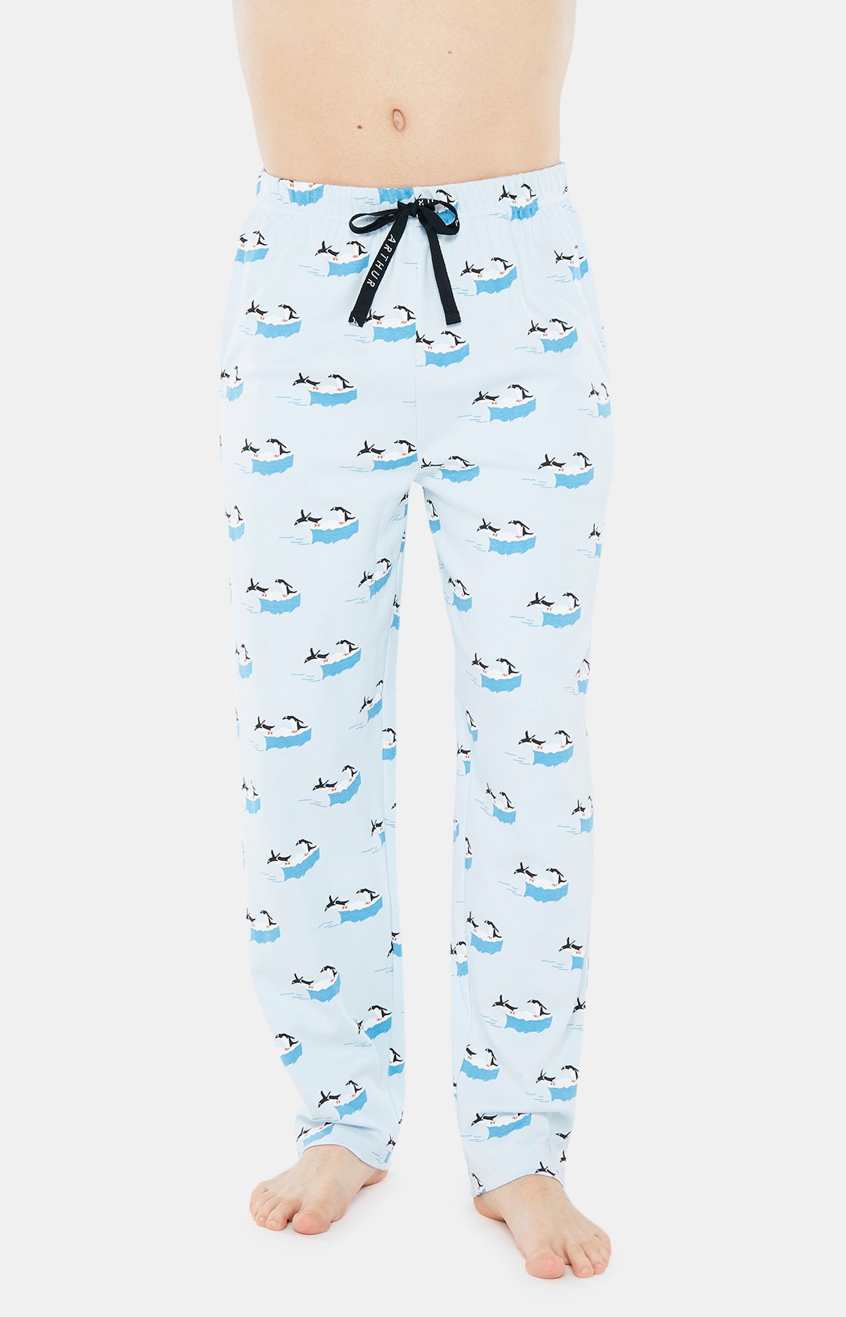arthur-bob-iceberg-pyjama-homme-coton-bio-glace image 3