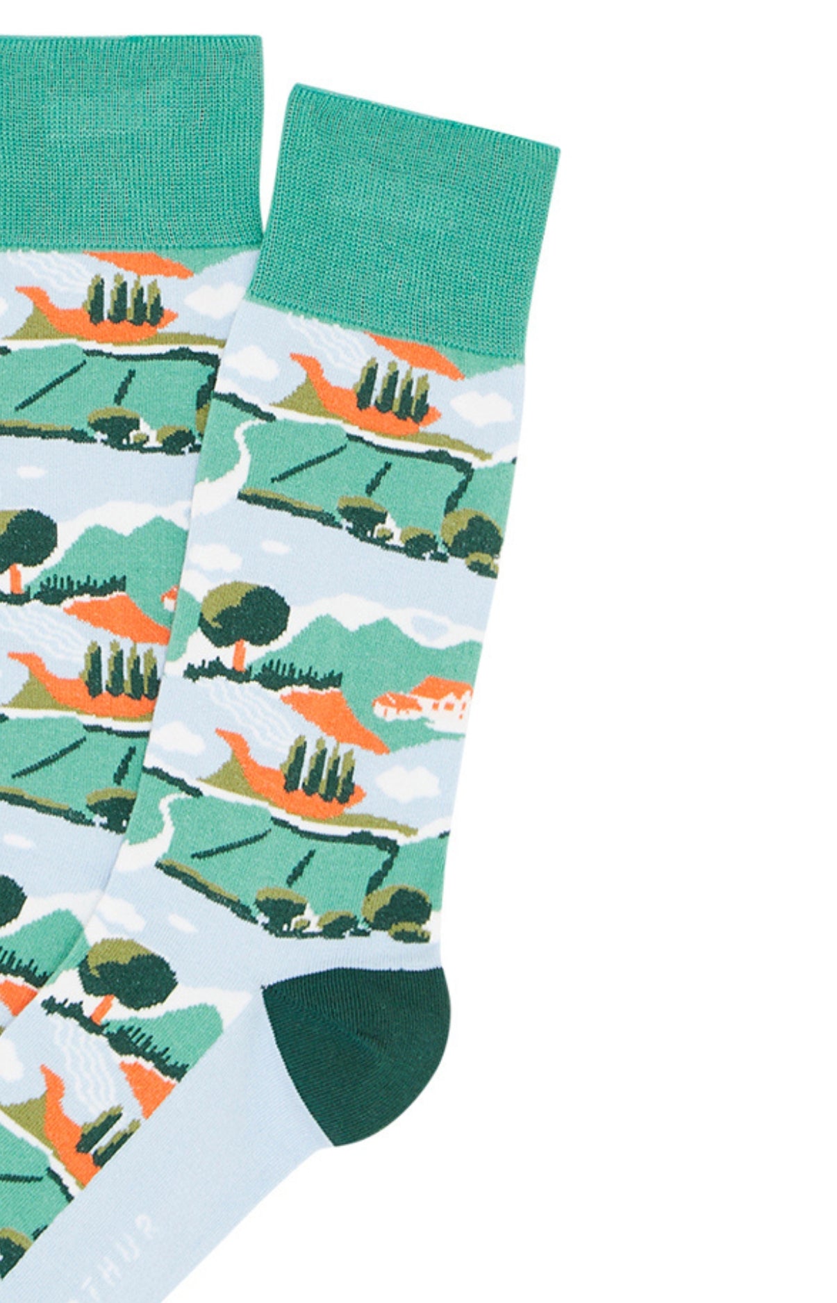 arthur-bob-campagne-chaussettes-homme-coton-vert image 2