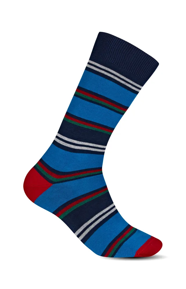 arthur-bob-chaussettes-homme-coton-rayes-roi-40-46 image 1
