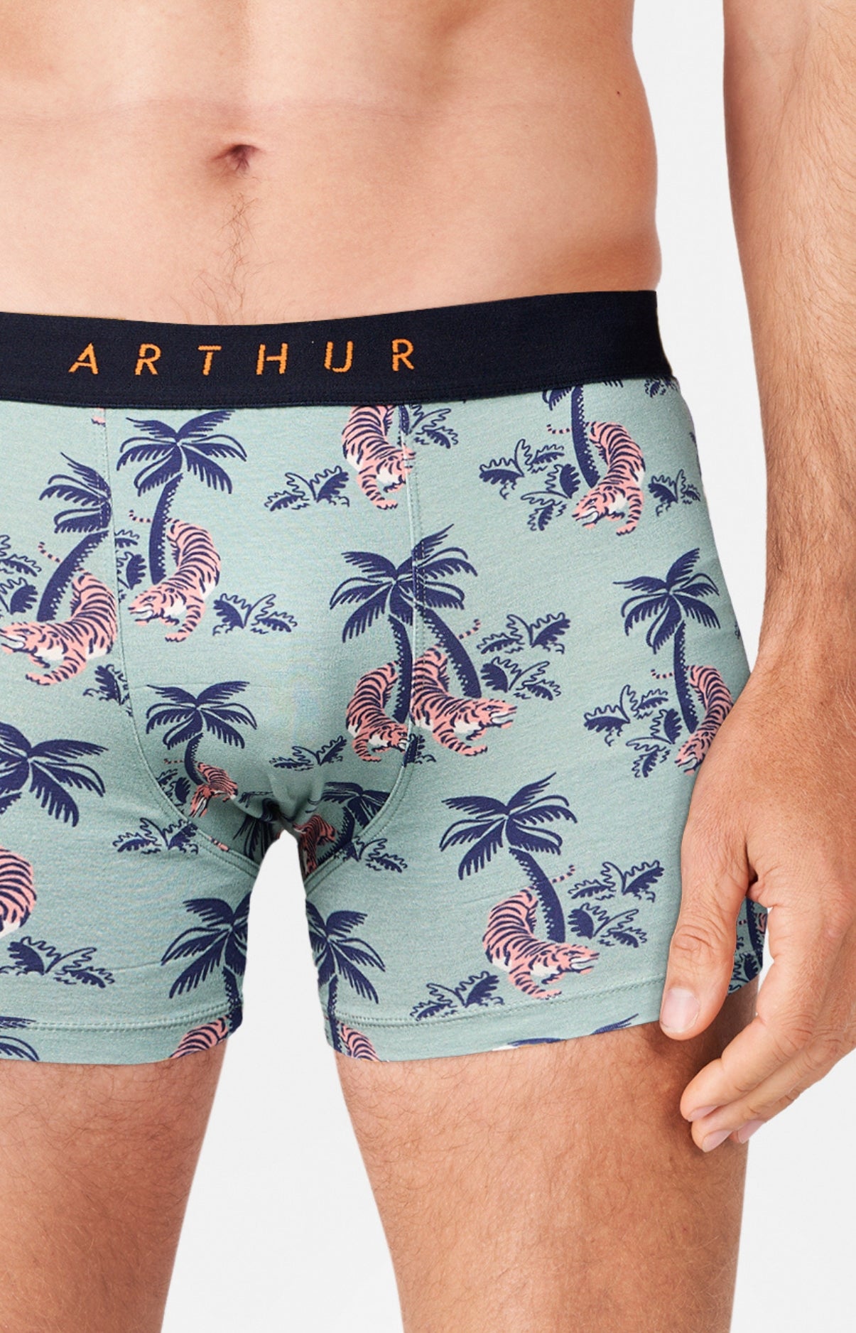 arthur-bob-boxer-fauve-qui-peut-kaki-l-coton-bio image 2