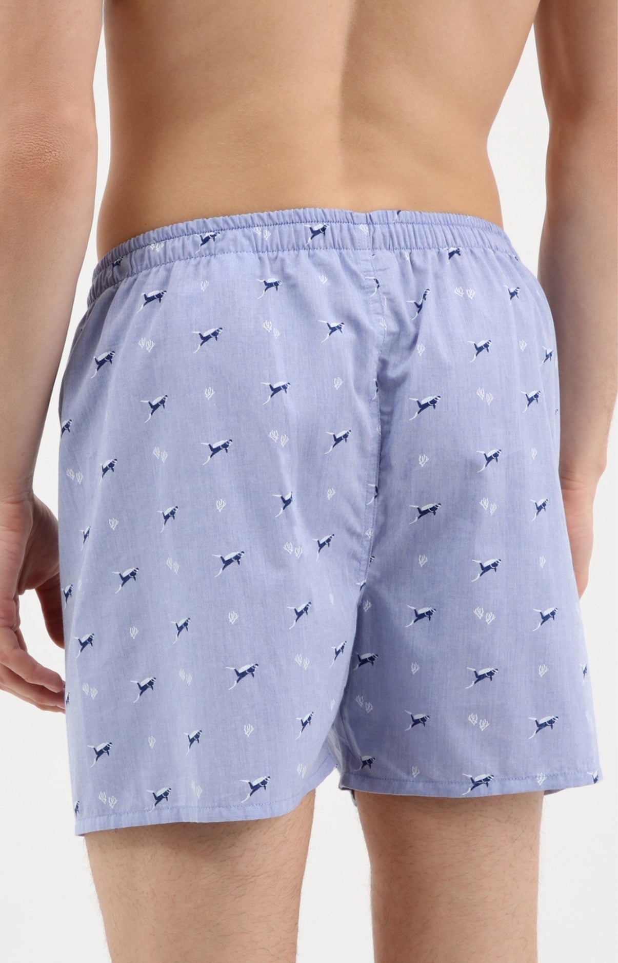 arthur-le-club-cale-on-classique-coton-plong-e-azur image 3
