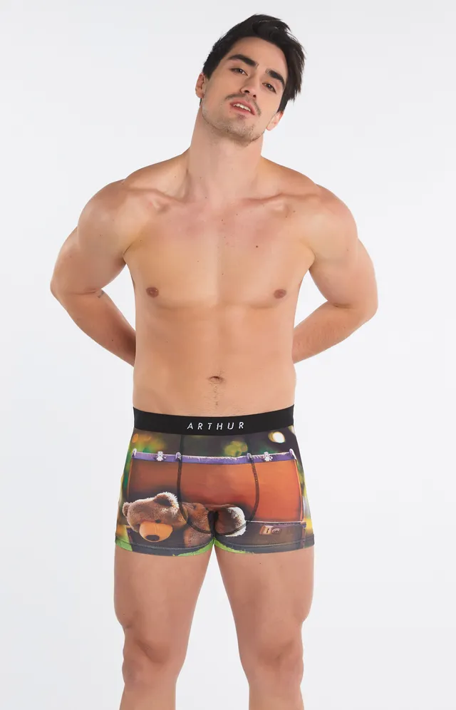 arthur-bob-big-teddy-boxer-homme-marron-polyester image 1