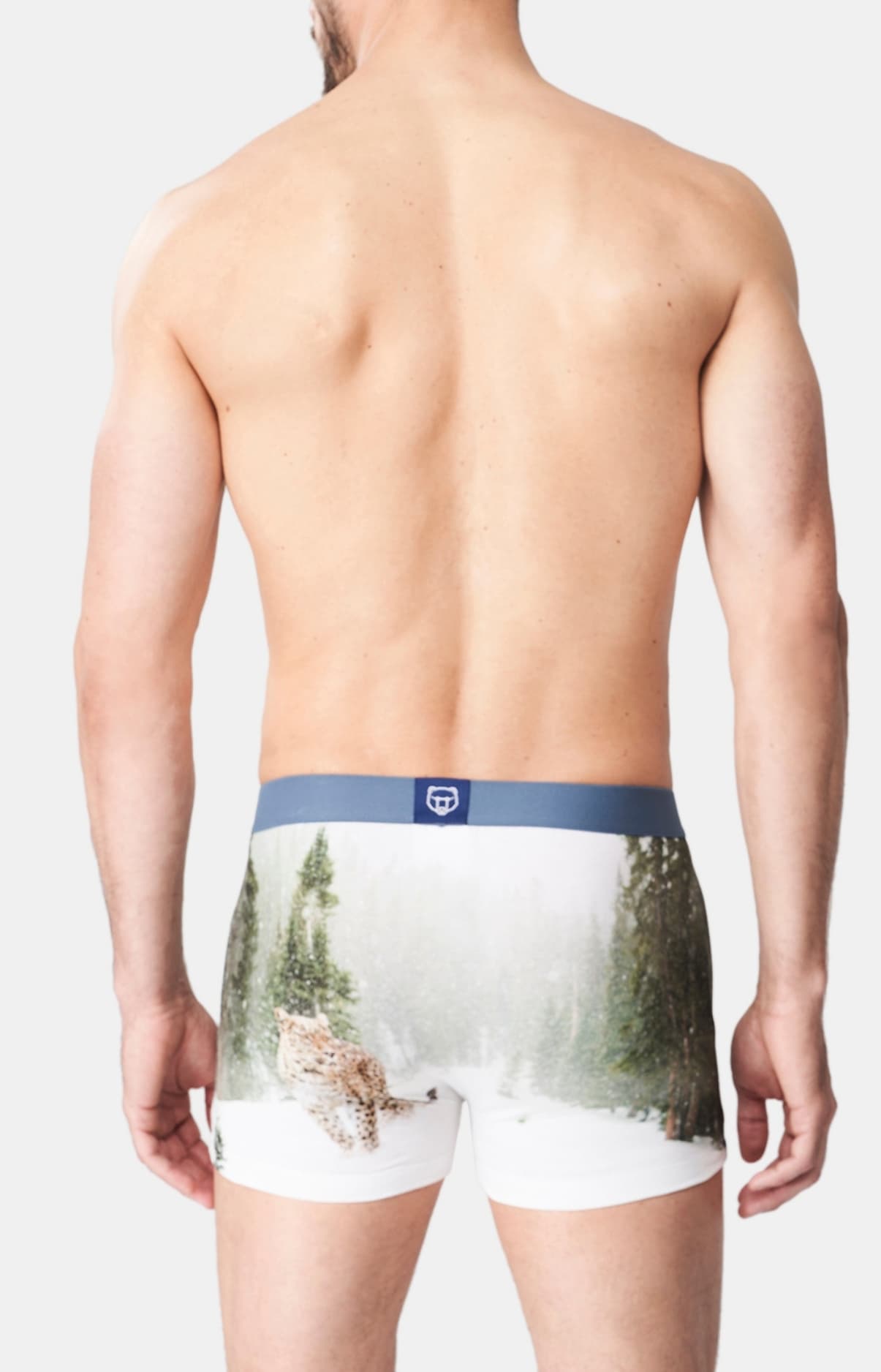 arthur-bob-panth-re-des-neiges-boxer-blanc-coton-bio image 5