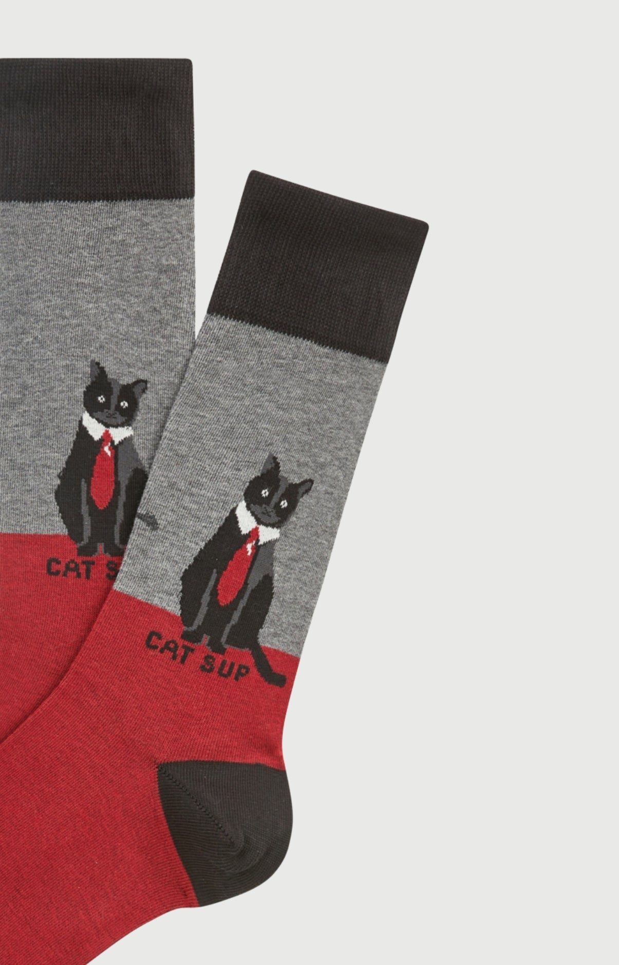 arthur-bob-chaussettes-coton-cat-sup-gris-40-46-coton-bio image 2