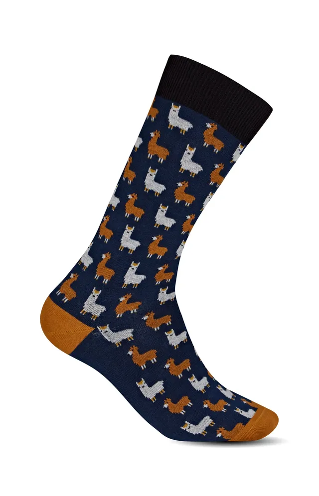 arthur-bob-lama-chaussettes-coton-marine-40-46 image 1