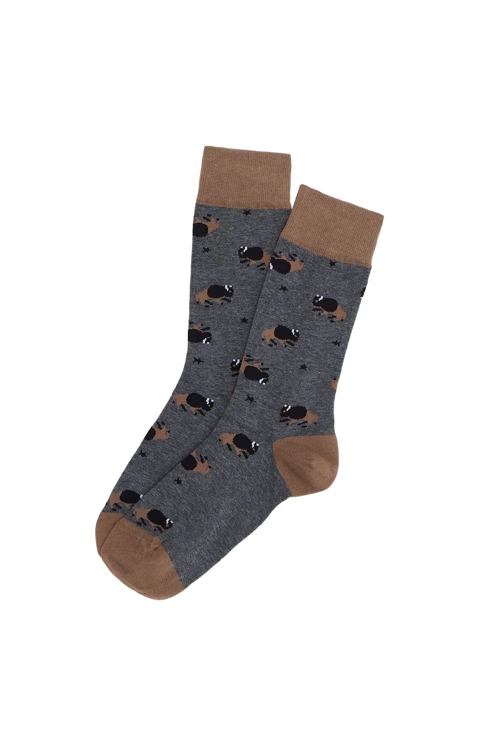 arthur-en-plaine-nuit-chaussettes-homme-coton-bio-gris image 1