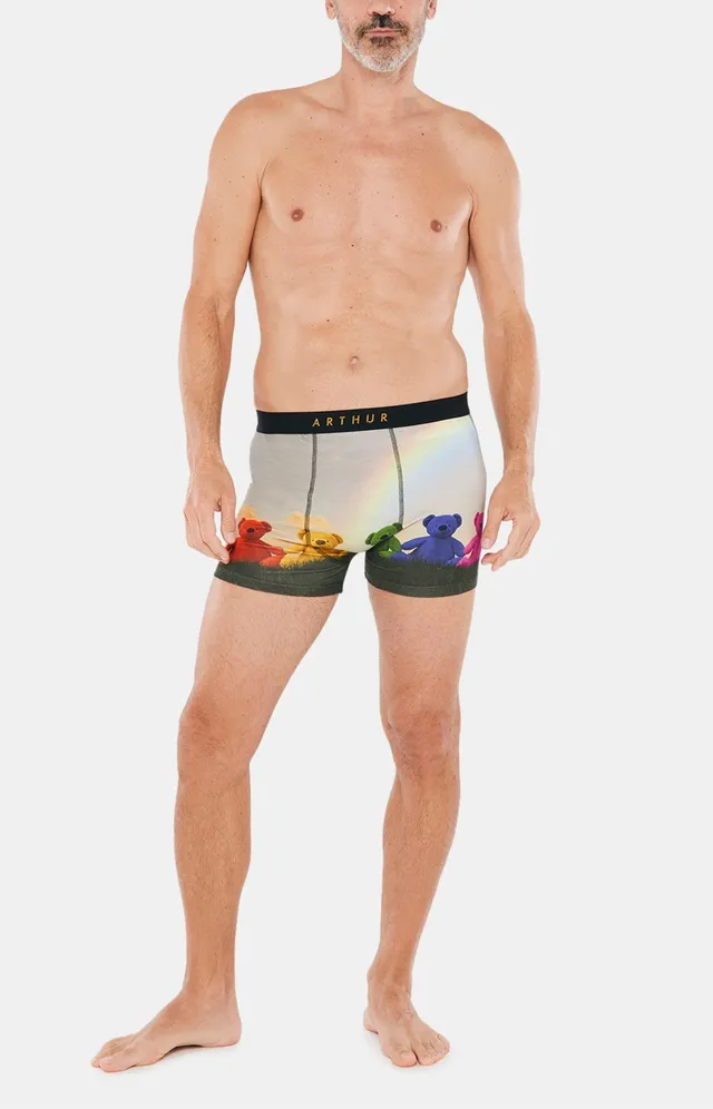 arthur-bob-boxer-ours-multicolore-coton-bio image 1
