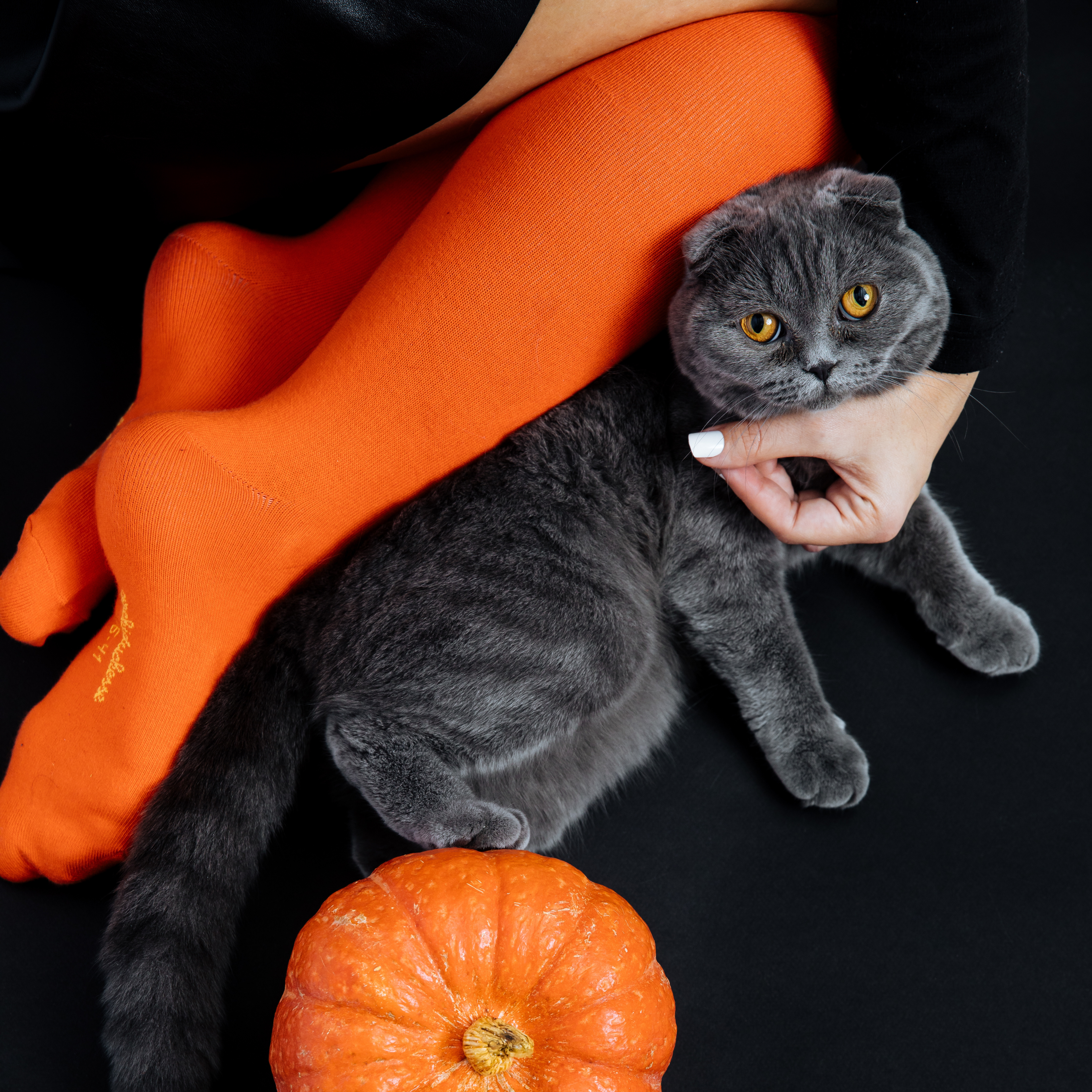 archiduchesse-de-ville-chaussettes-orange-citrouille-coton-mi-haute image 6