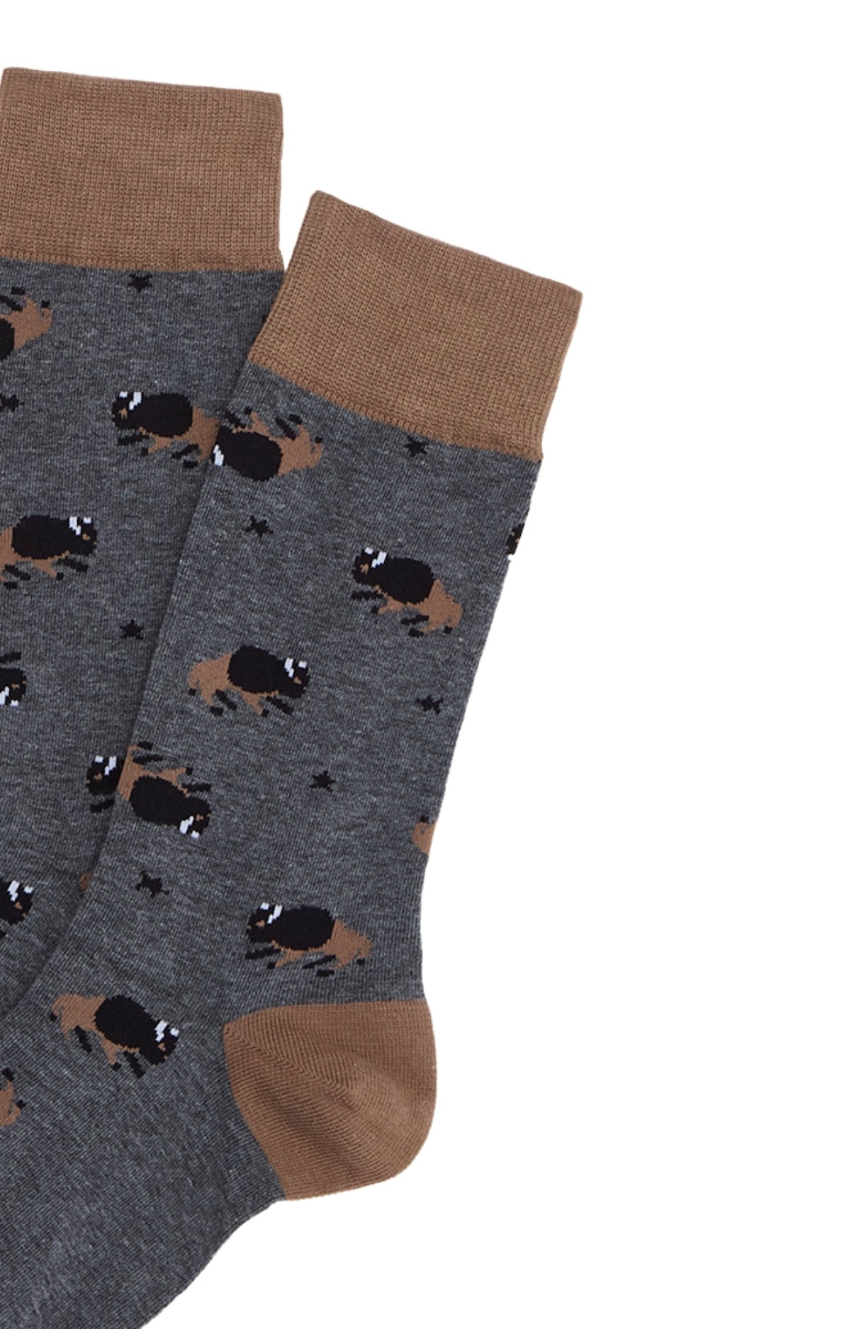 arthur-en-plaine-nuit-chaussettes-homme-coton-bio-gris image 2