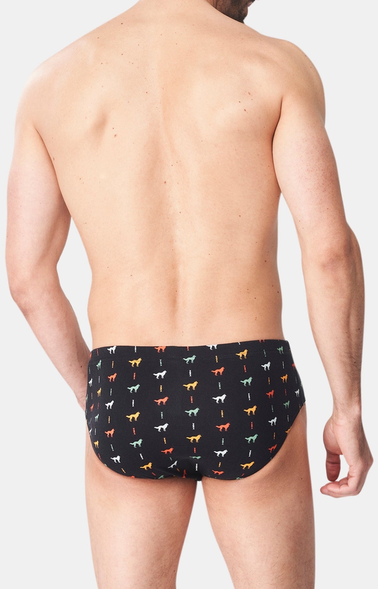 arthur-le-club-jeune-loup-slip-coton-noir-jersey-bio image 5