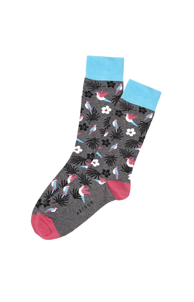 arthur-bob-chaussettes-perroquet-gris-40-46-coton image 1