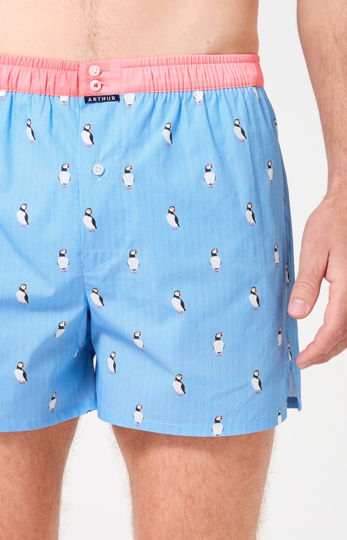 arthur-le-club-n-1205-cale-on-bleu-rayures-coton-bio image 1