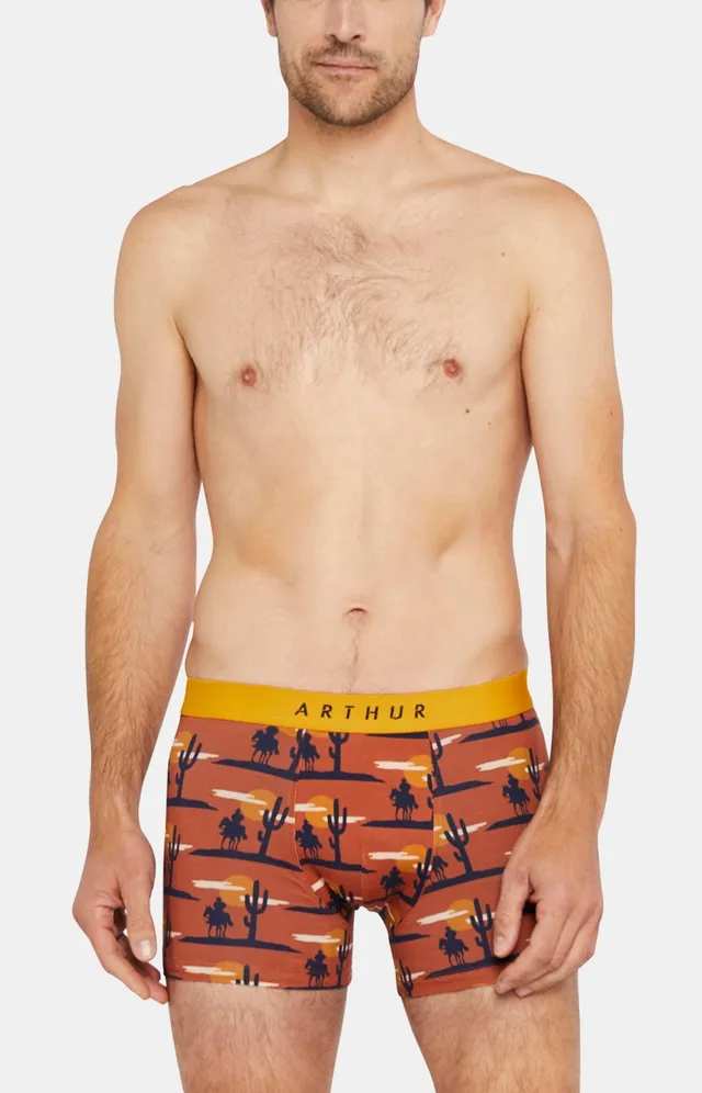 arthur-bob-l-ouest-boxer-homme-cognac-coton-bio image 1