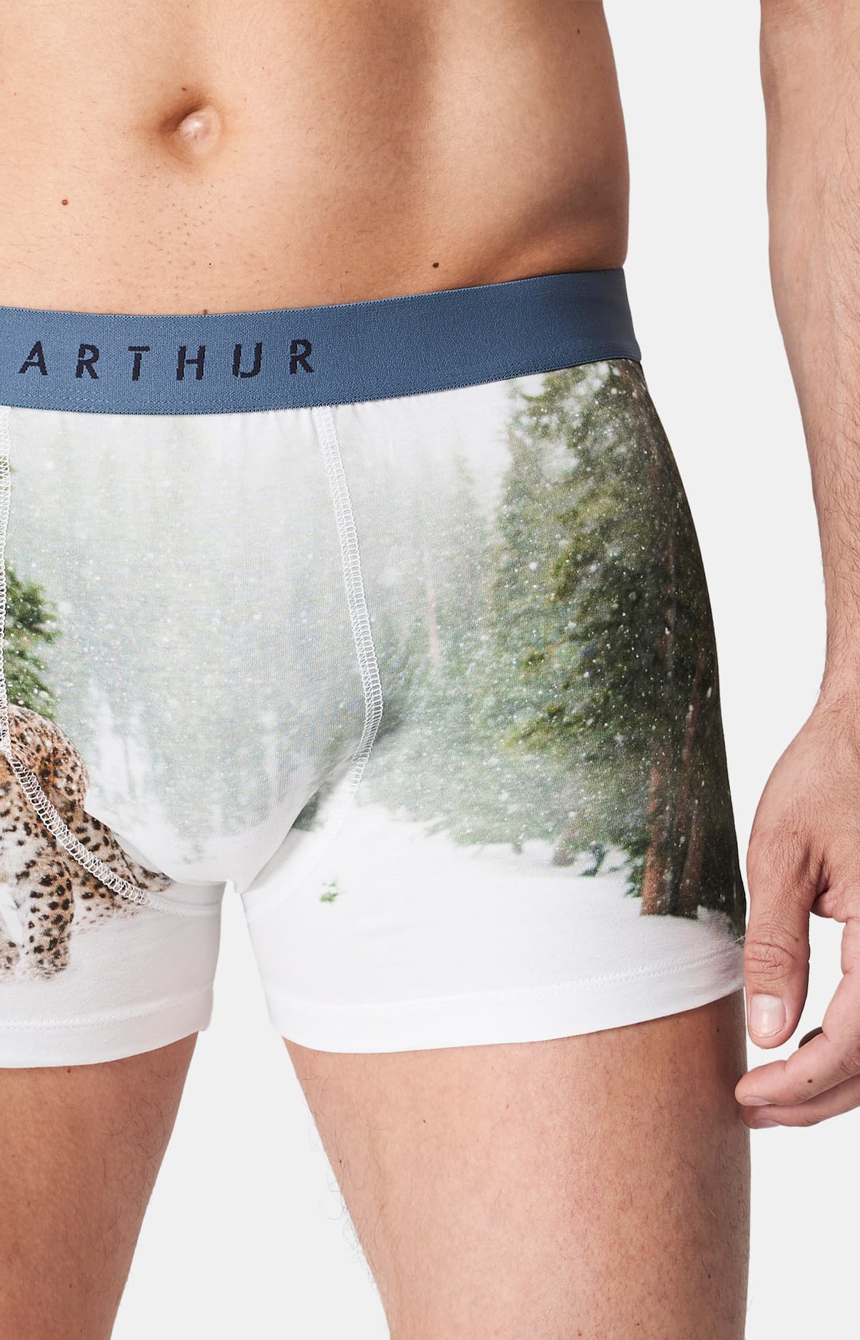 arthur-bob-panth-re-des-neiges-boxer-blanc-coton-bio image 1