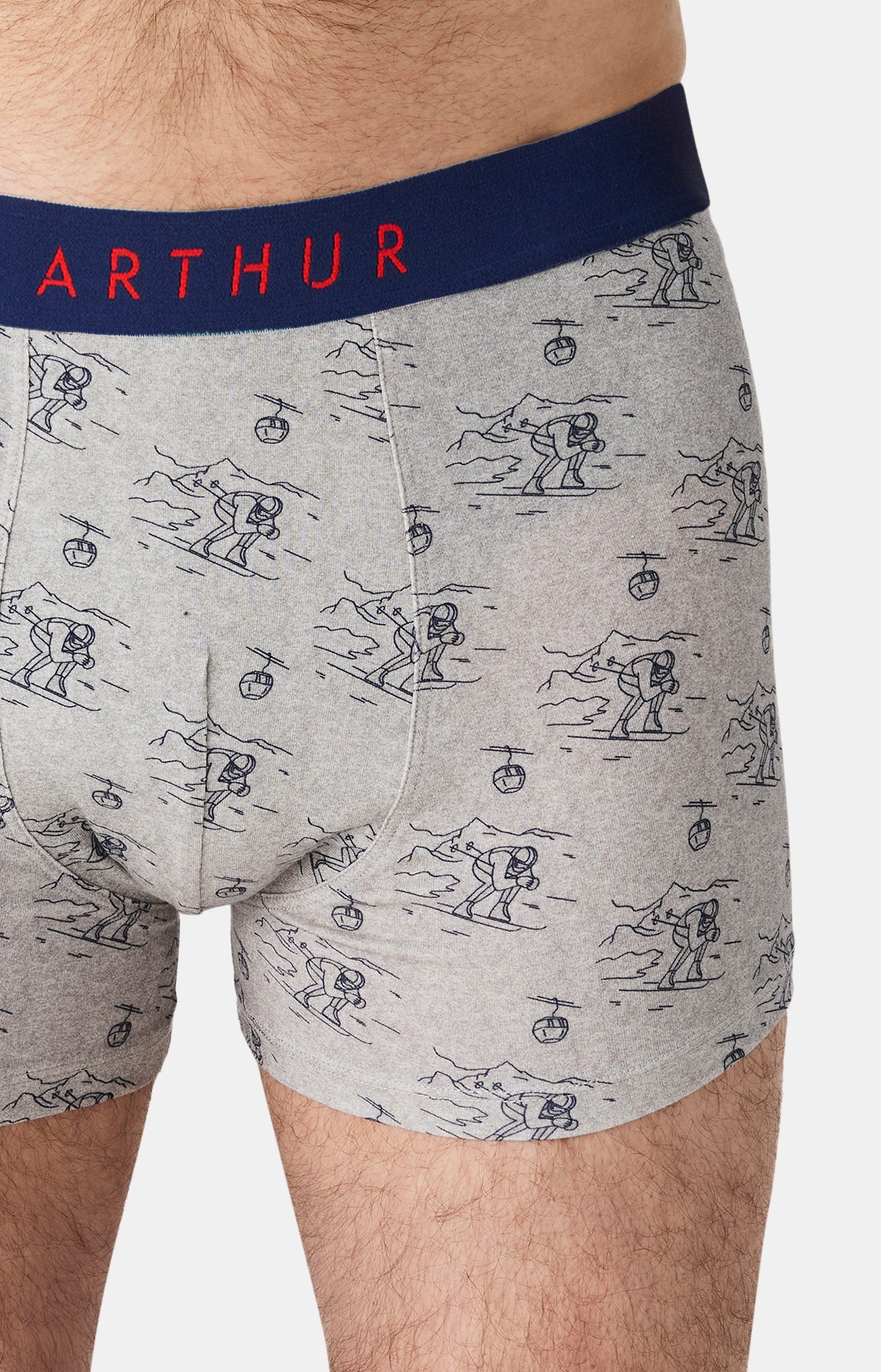 arthur-bob-tout-schuss-boxer-coton-bio-gris image 1
