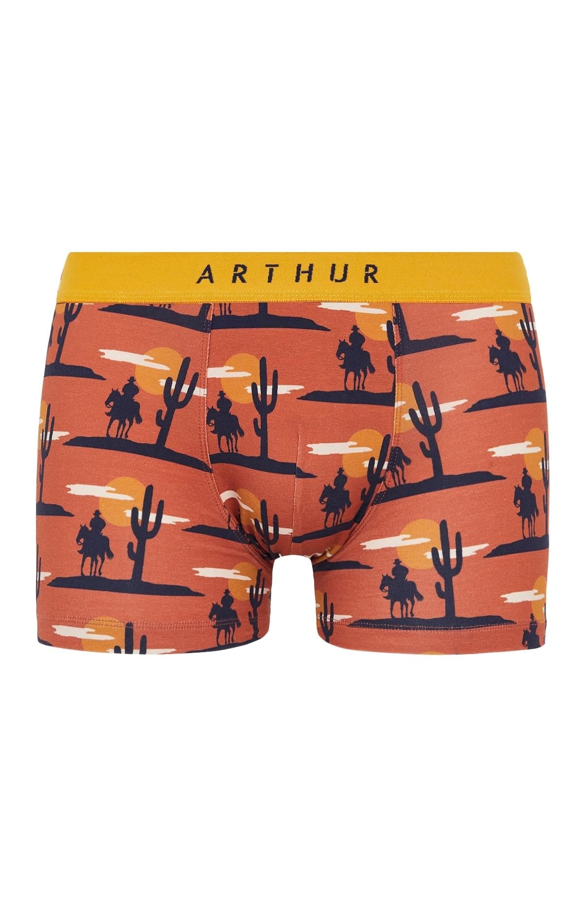 arthur-bob-l-ouest-boxer-homme-cognac-coton-bio image 3