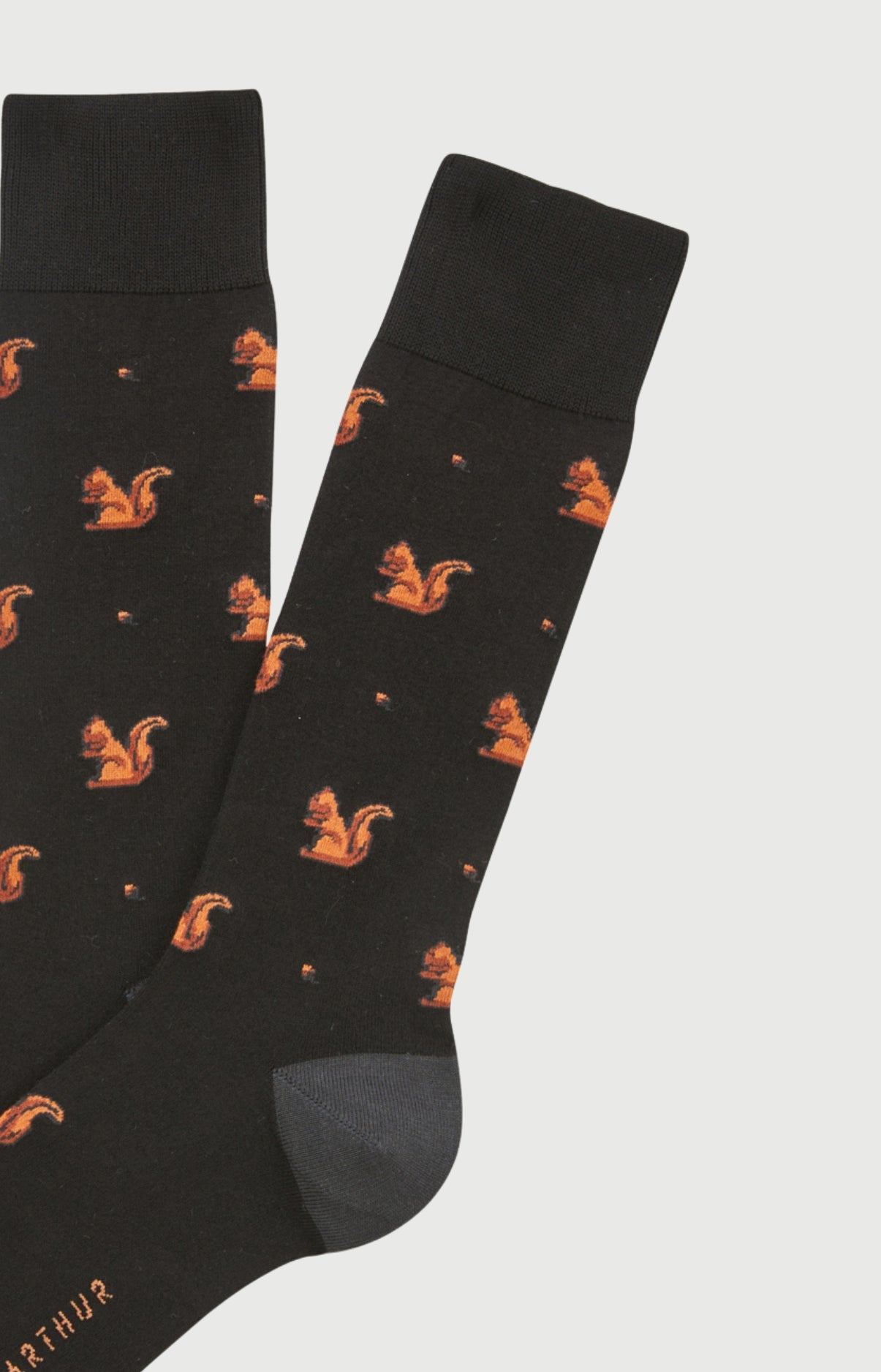 arthur-bob-chaussettes-coton-ecureuil-noir-homme image 2