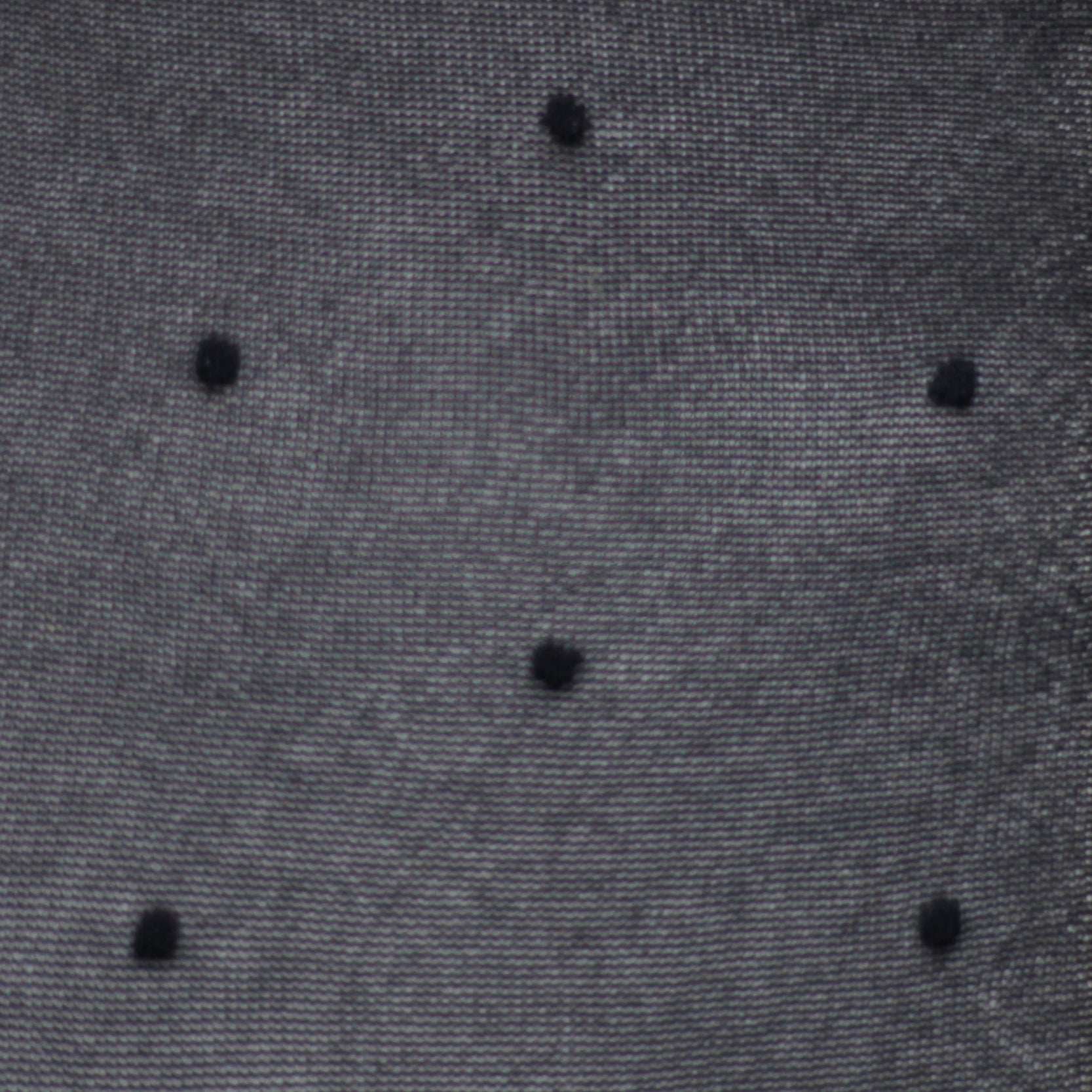 archiduchesse-recycl-e-plumetis-collant-noir-20d-taille-1-2 image 3