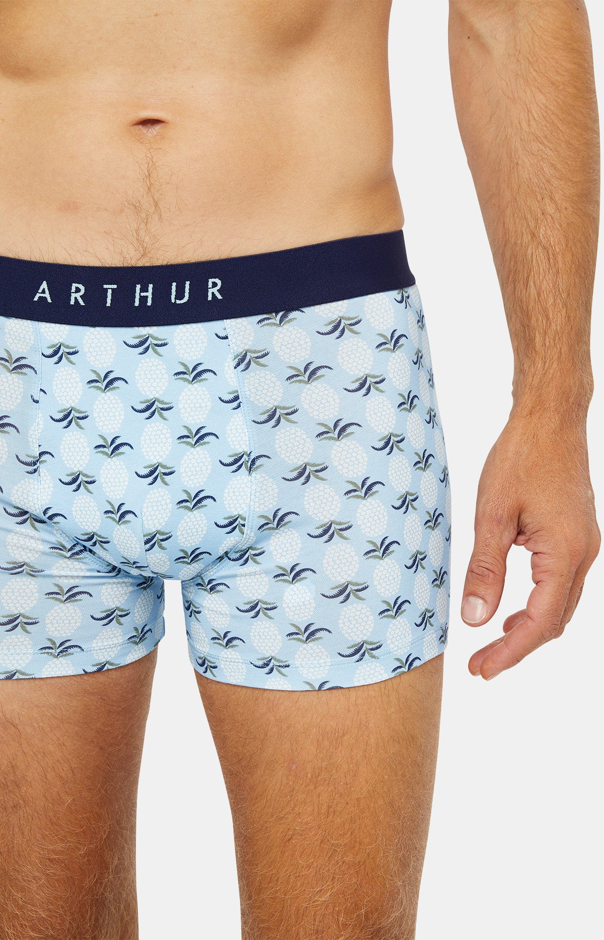 arthur-bob-ananas-boxer-coton-bio-ciel image 2