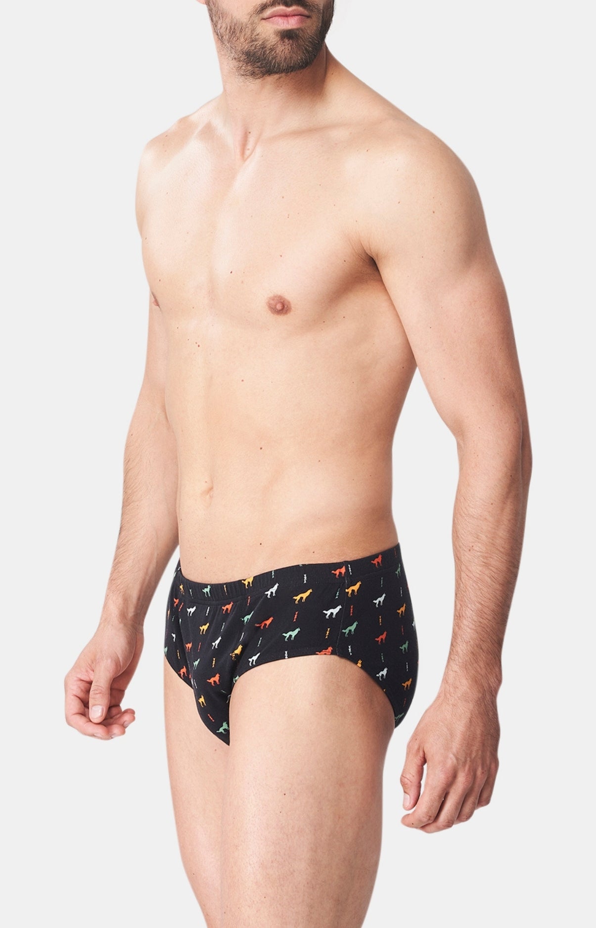 arthur-le-club-jeune-loup-slip-coton-noir-jersey-bio image 4
